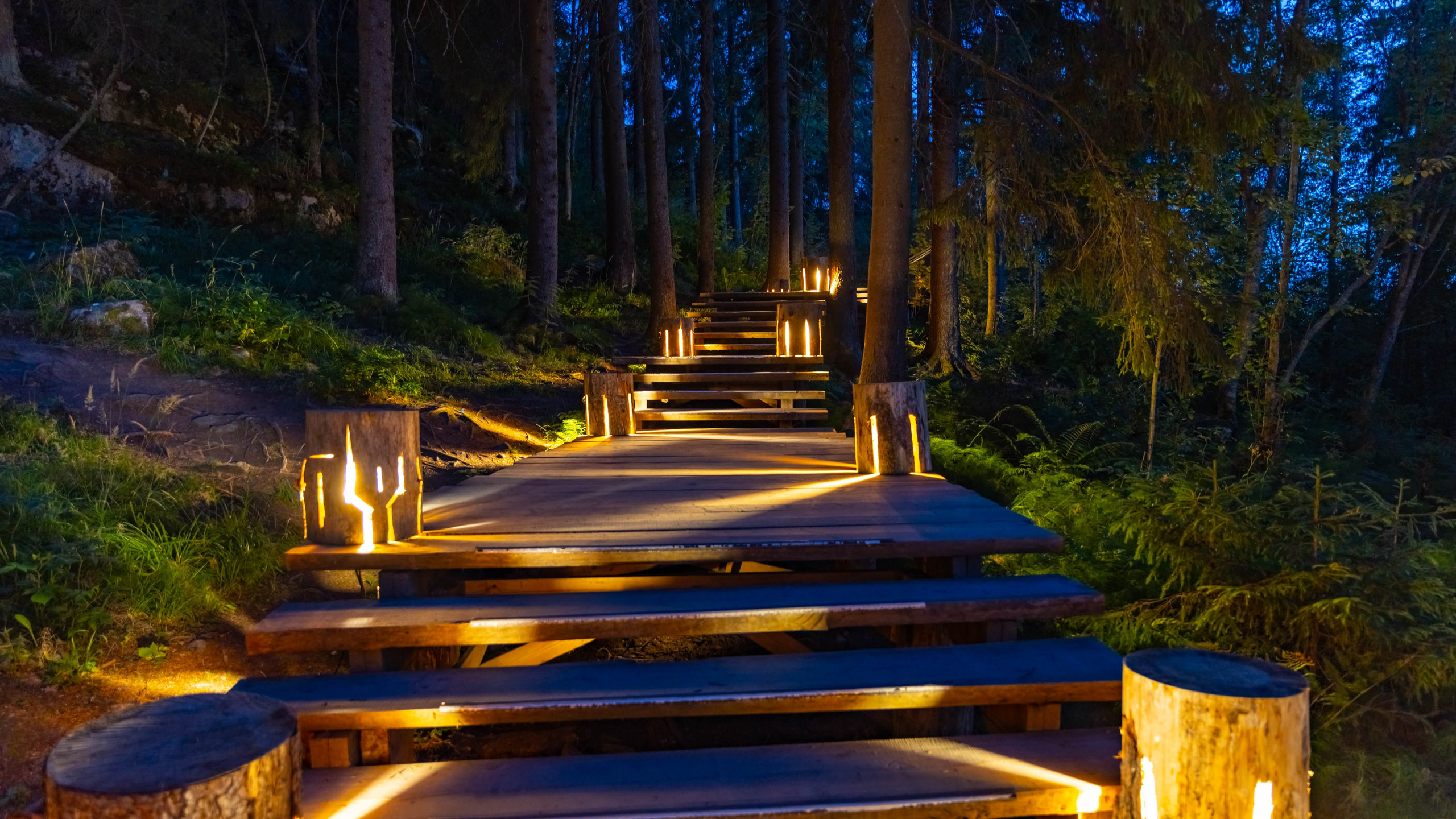 2025 07 Выборг — Сортавала — Великий Новгород — Псков. Фотографии