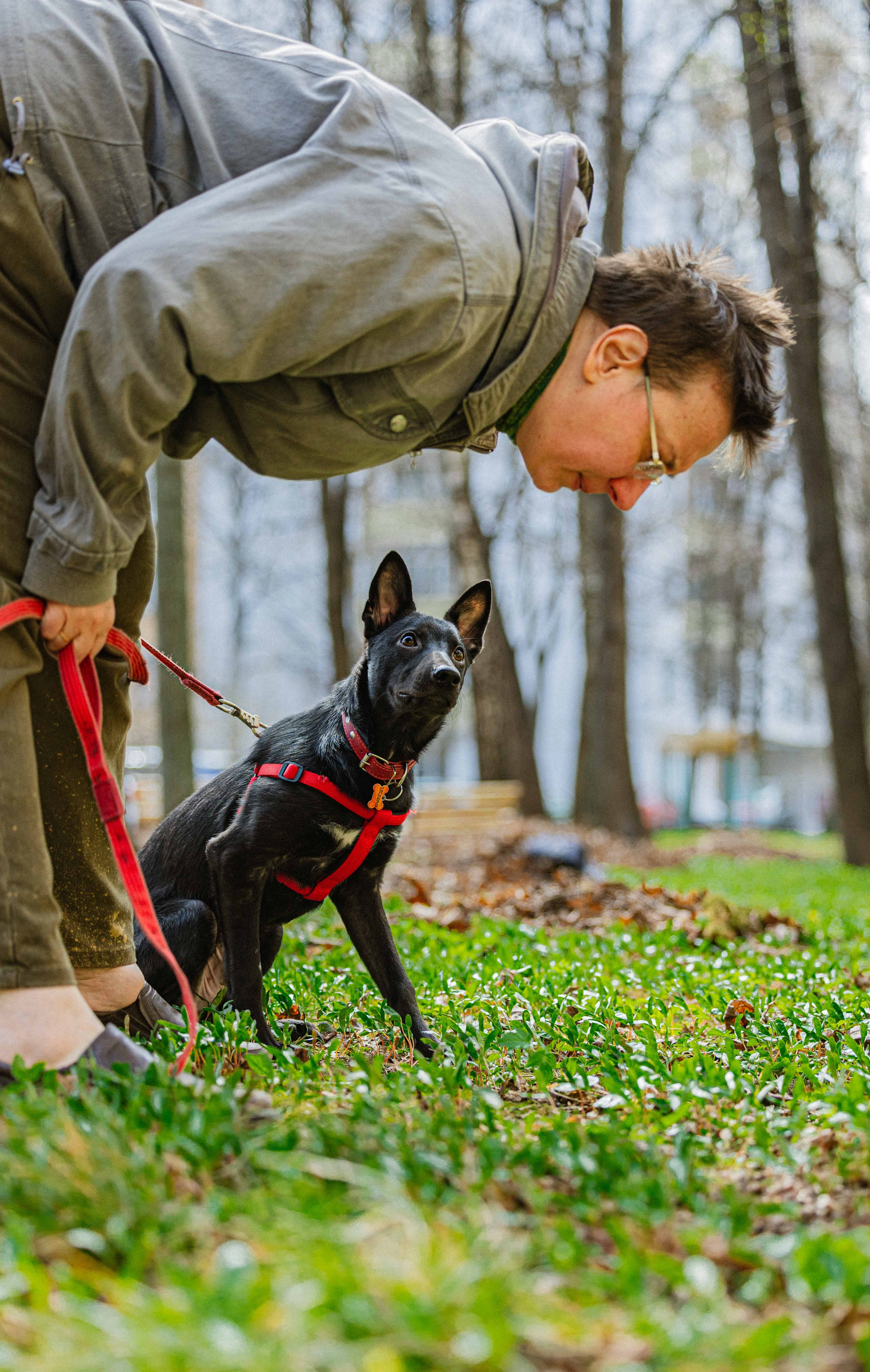 Булька. Фотограф-анималист в Москве Лера Черноног