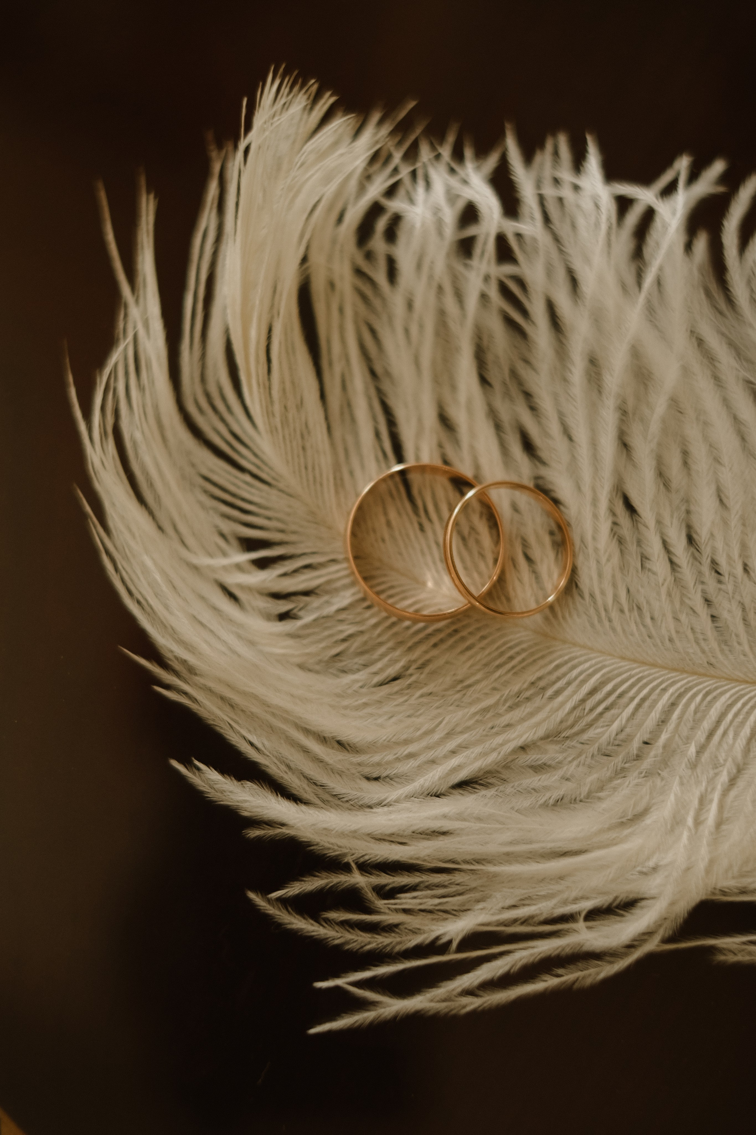 Большая свадьба 05.04.2025. Photographer_anastasia_margushina