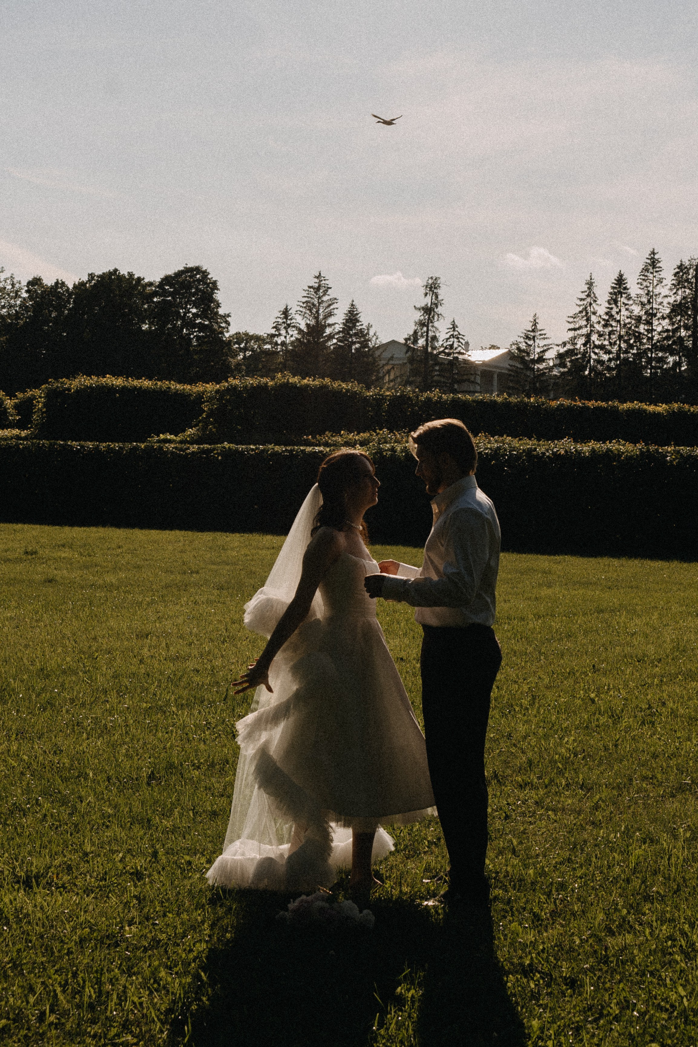 СВАДЕБНАЯ ФОТОСЕСИСИЯ В ГОРОДЕ ПУШКИН. Профессиональный фотограф, Санкт-Петербург — Виктория Богомолова