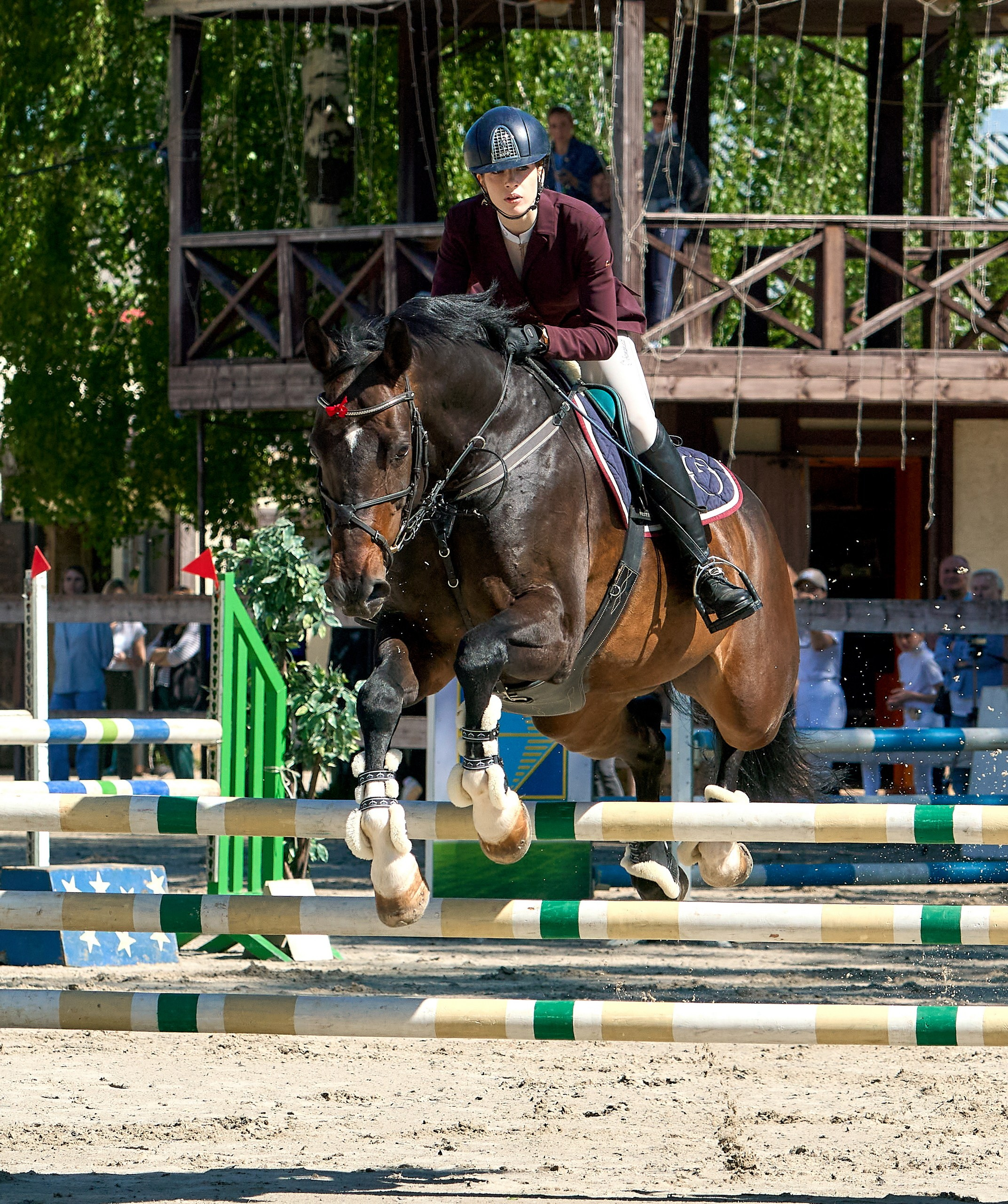 Соревнования на лошадях — галерея NATRIEL