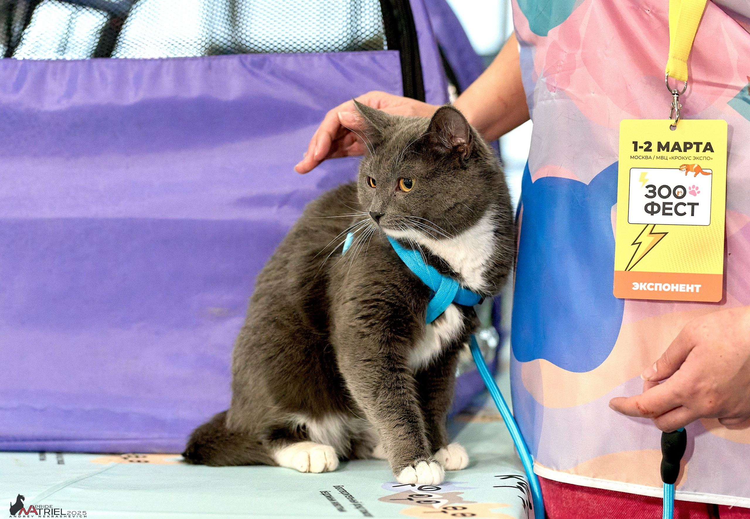 Репортаж с ЗООФЕСТ в Крокусе