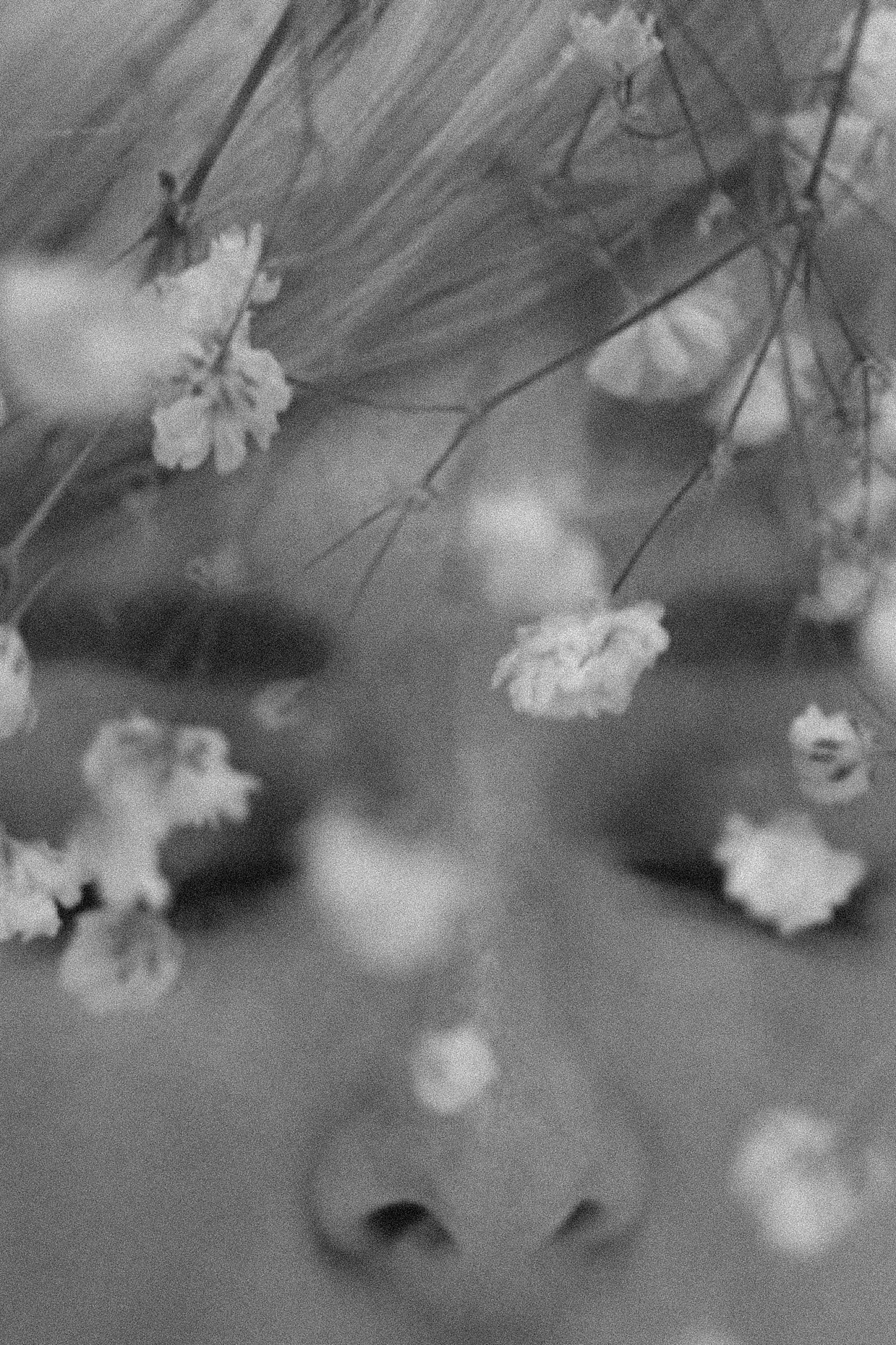 Елена. Фотограф мероприятий, персональные съемки в Москве Владиславлева Настя