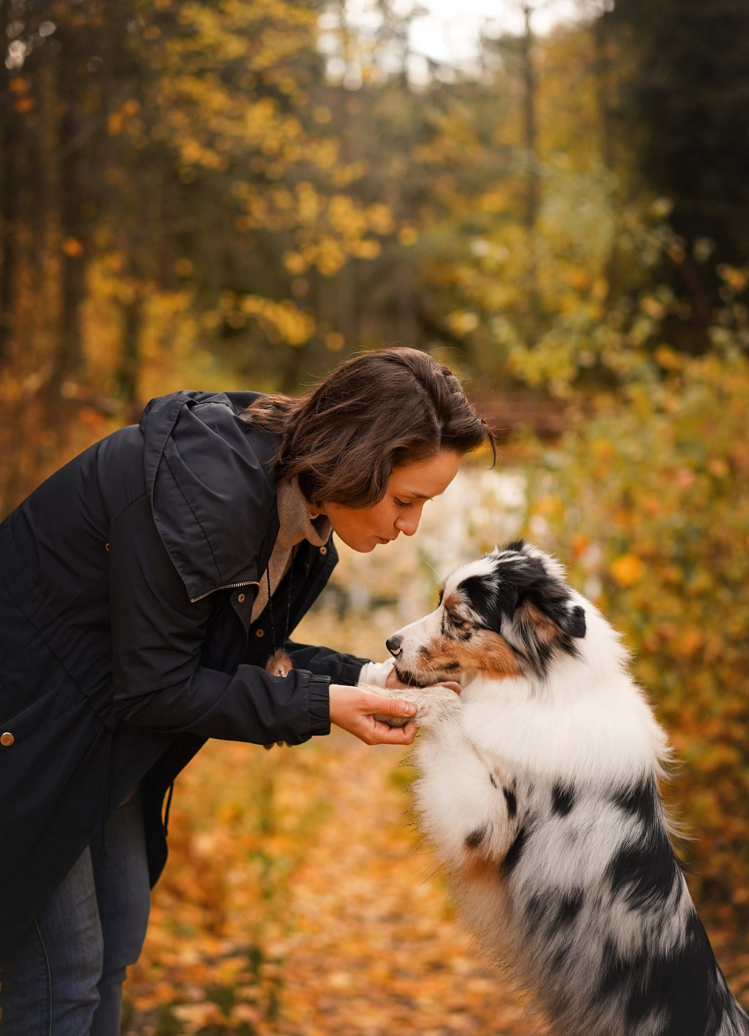 Соня Гавриил и Юкки. Фотограф-анималист в Санкт-Петербурге Яна Мартынова