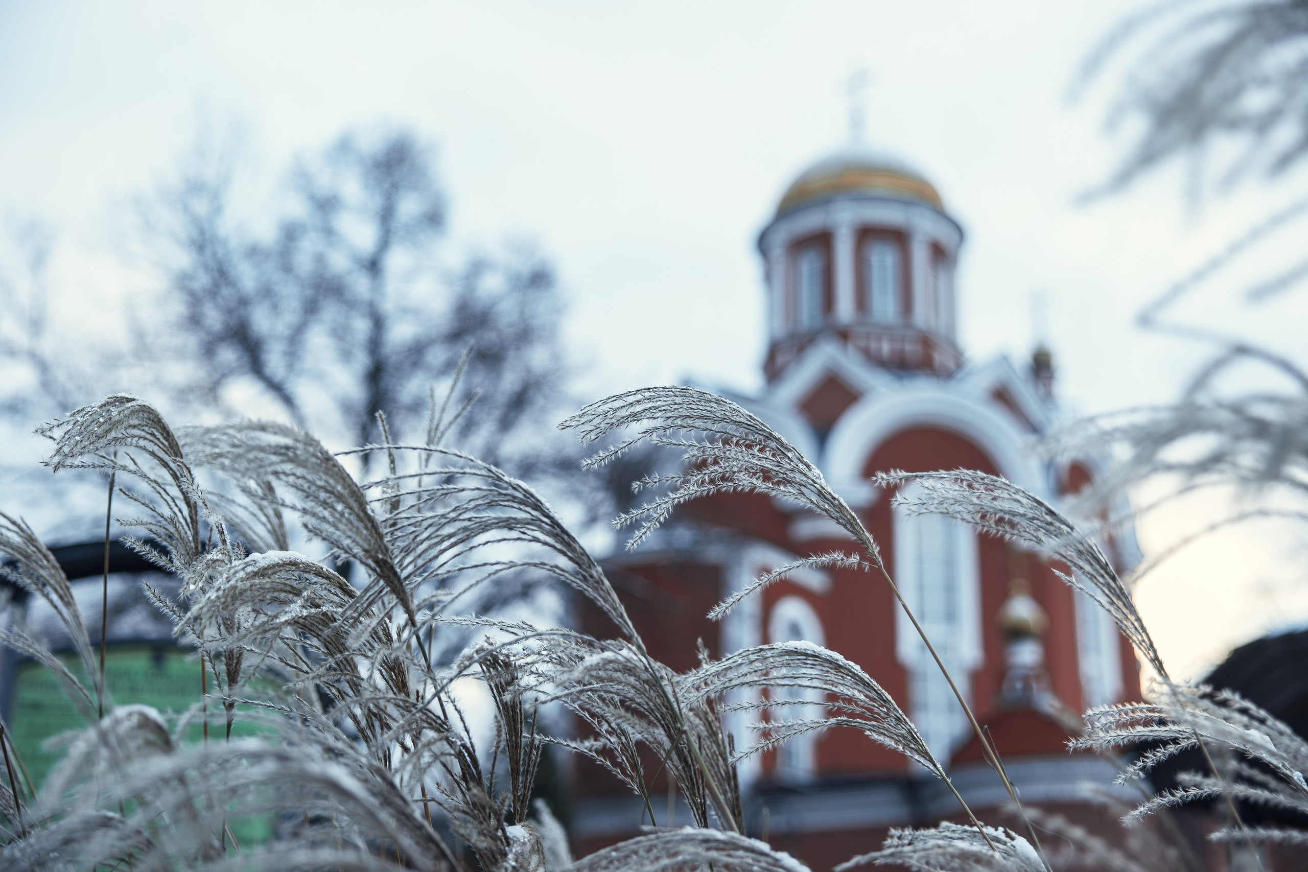 Галерея. Семейный фотограф и фотограф на Крещение, Венчание в Москве и Подмосковье Людмила Клюева