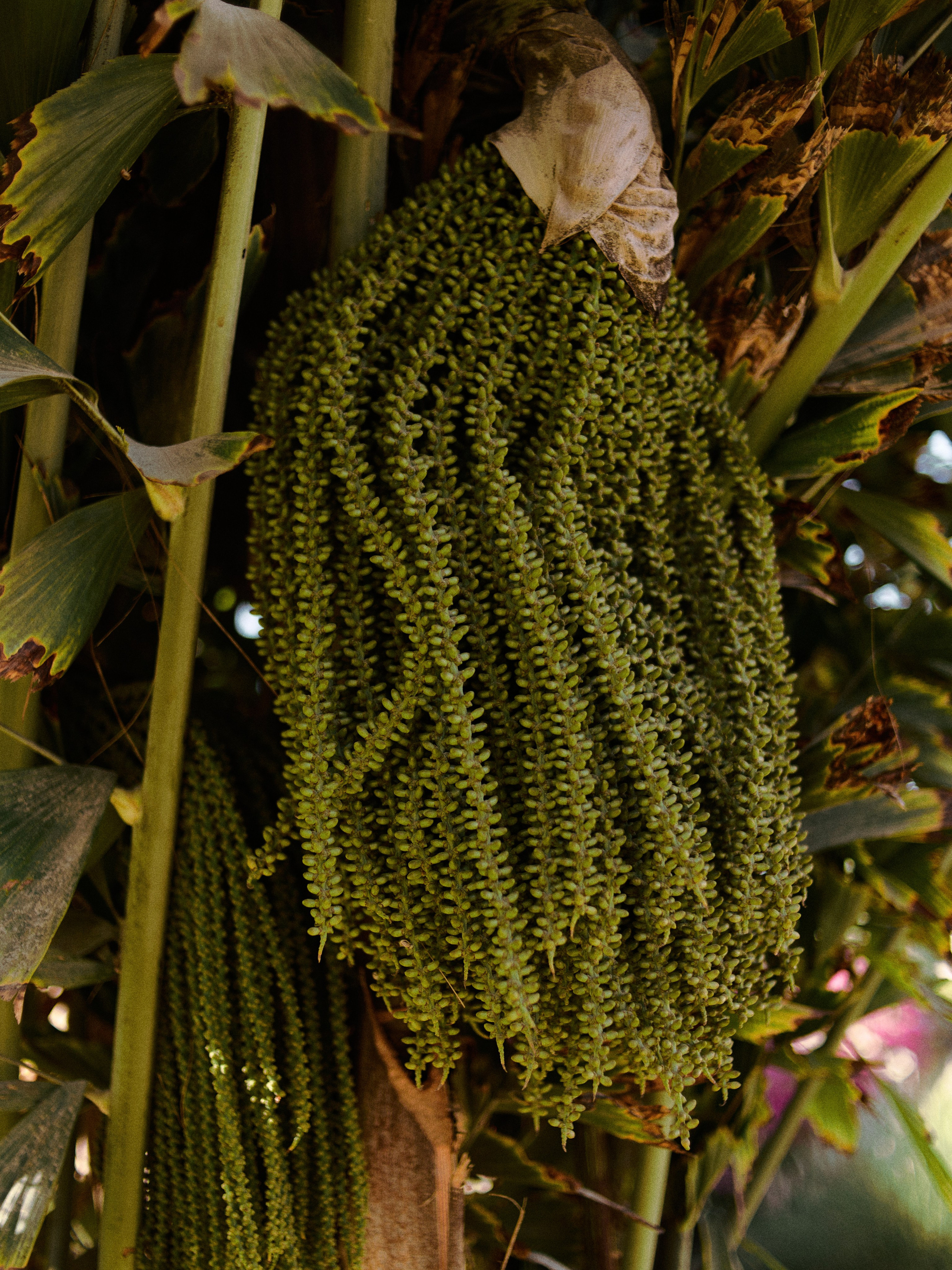 Природа. Jorgis Talè — photographer, kind person, teacher of arts and other mag