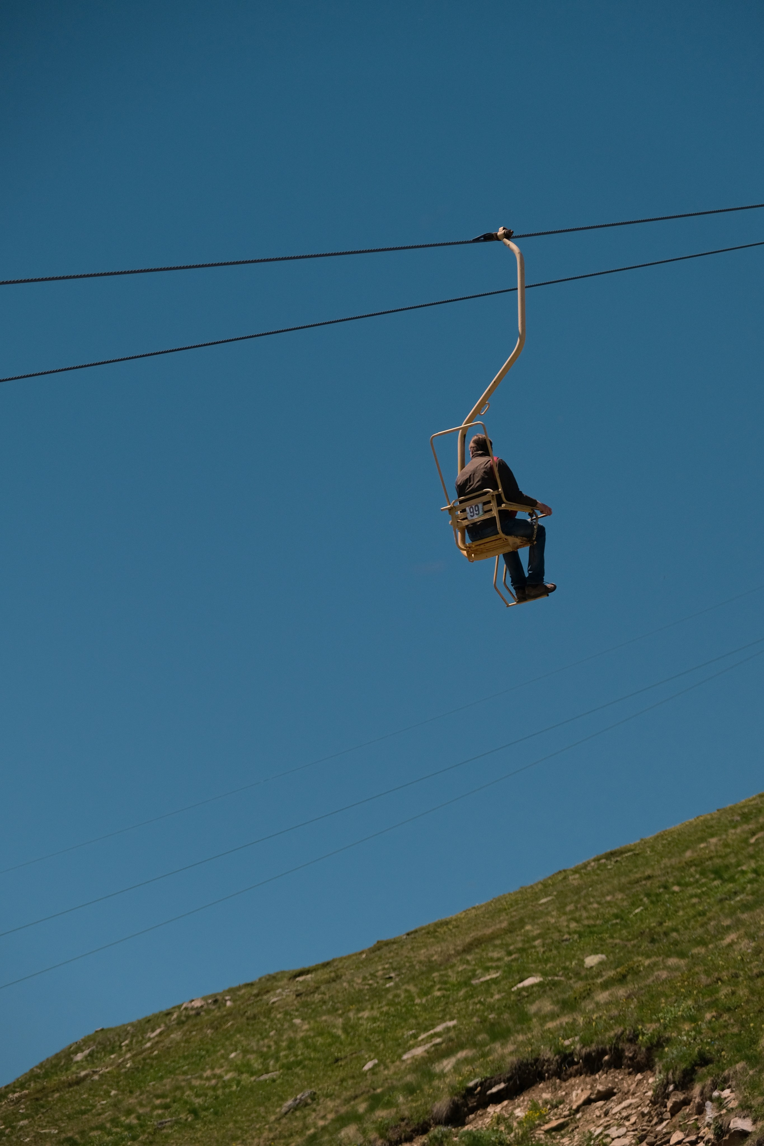 Nature. Photographer Mary Sergo