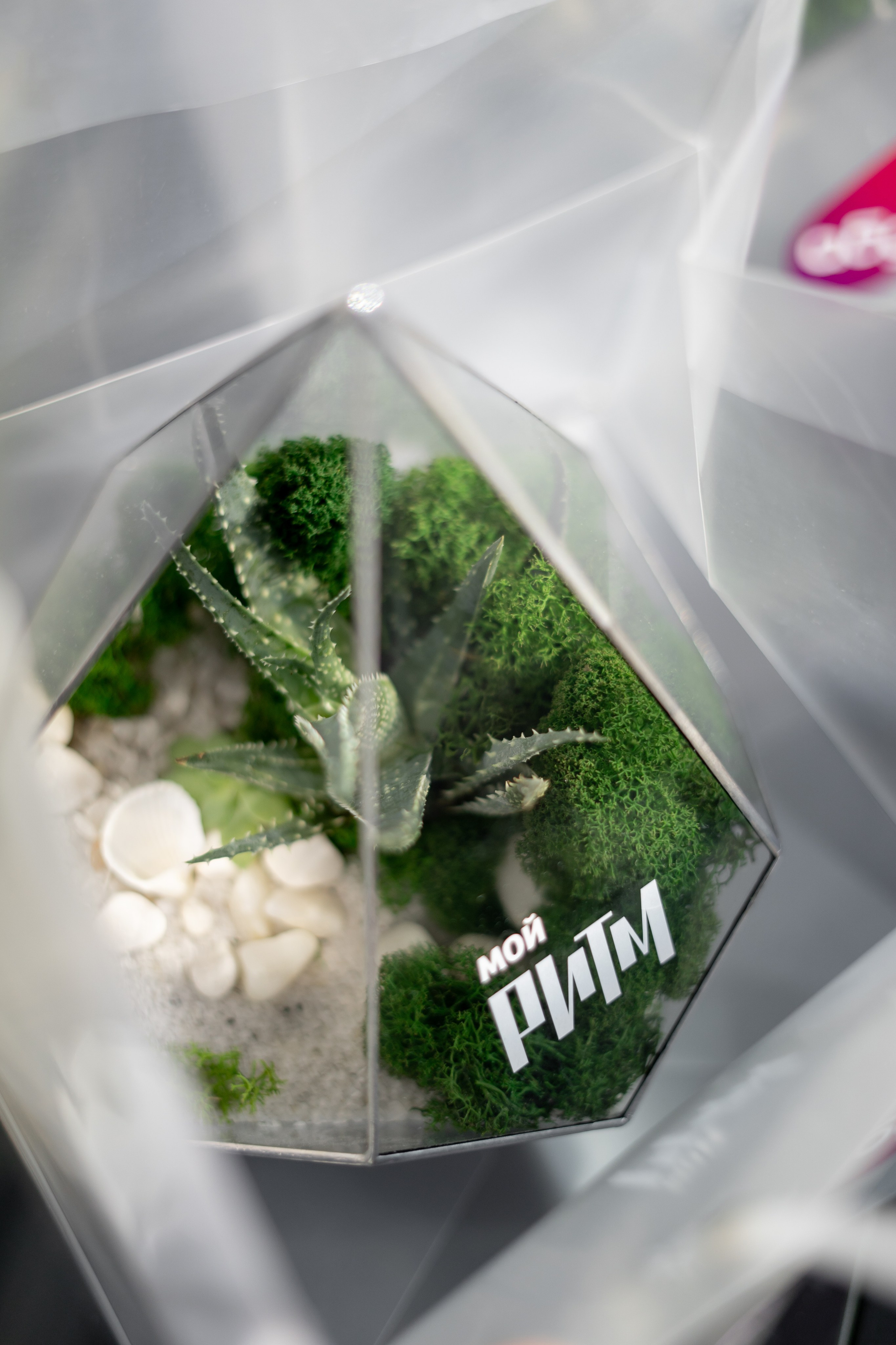 Презентация Мой Ритм. Продакшн для девелопмента и реального сектора