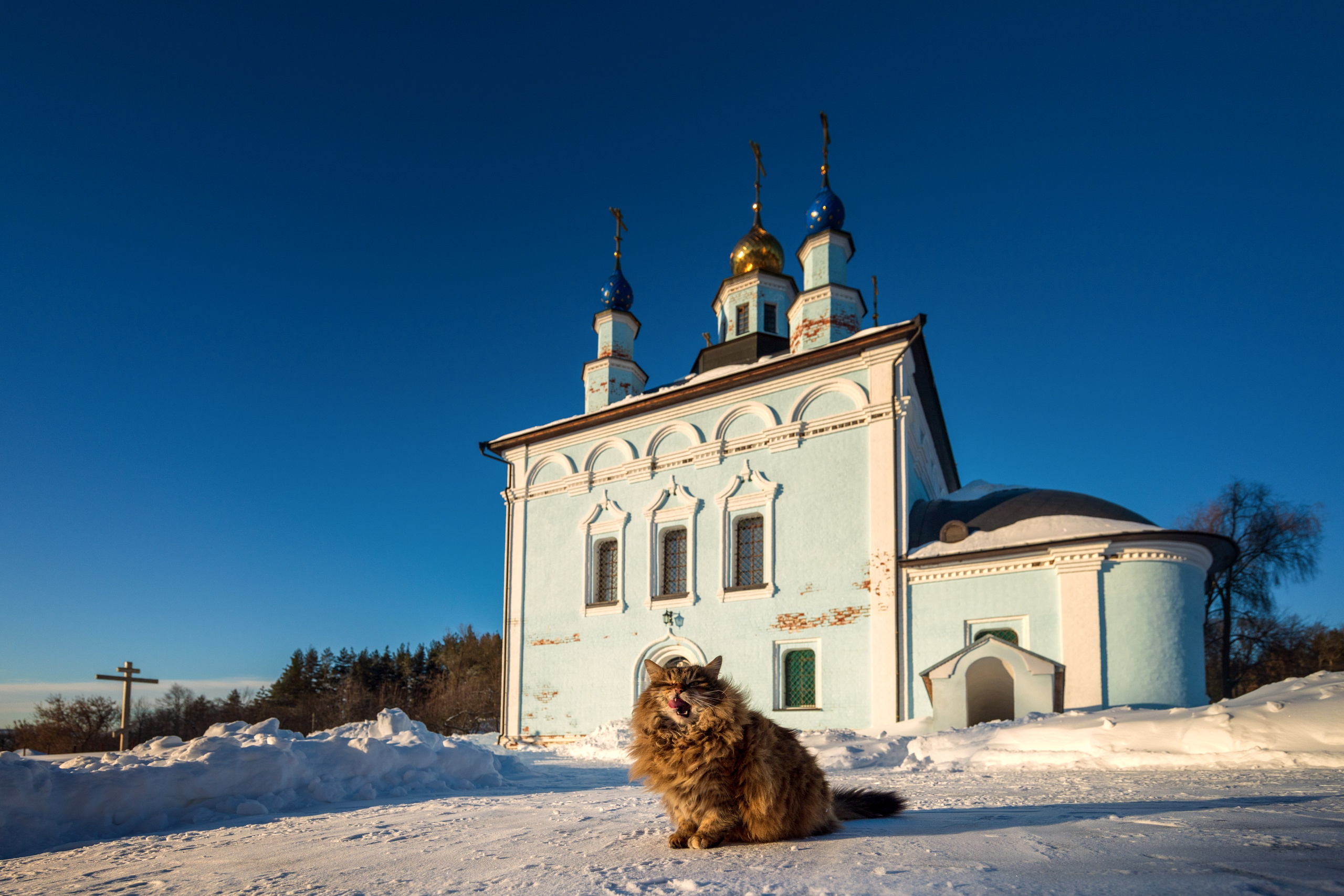 Белевский район. Фотохудожник Артём Парамонов