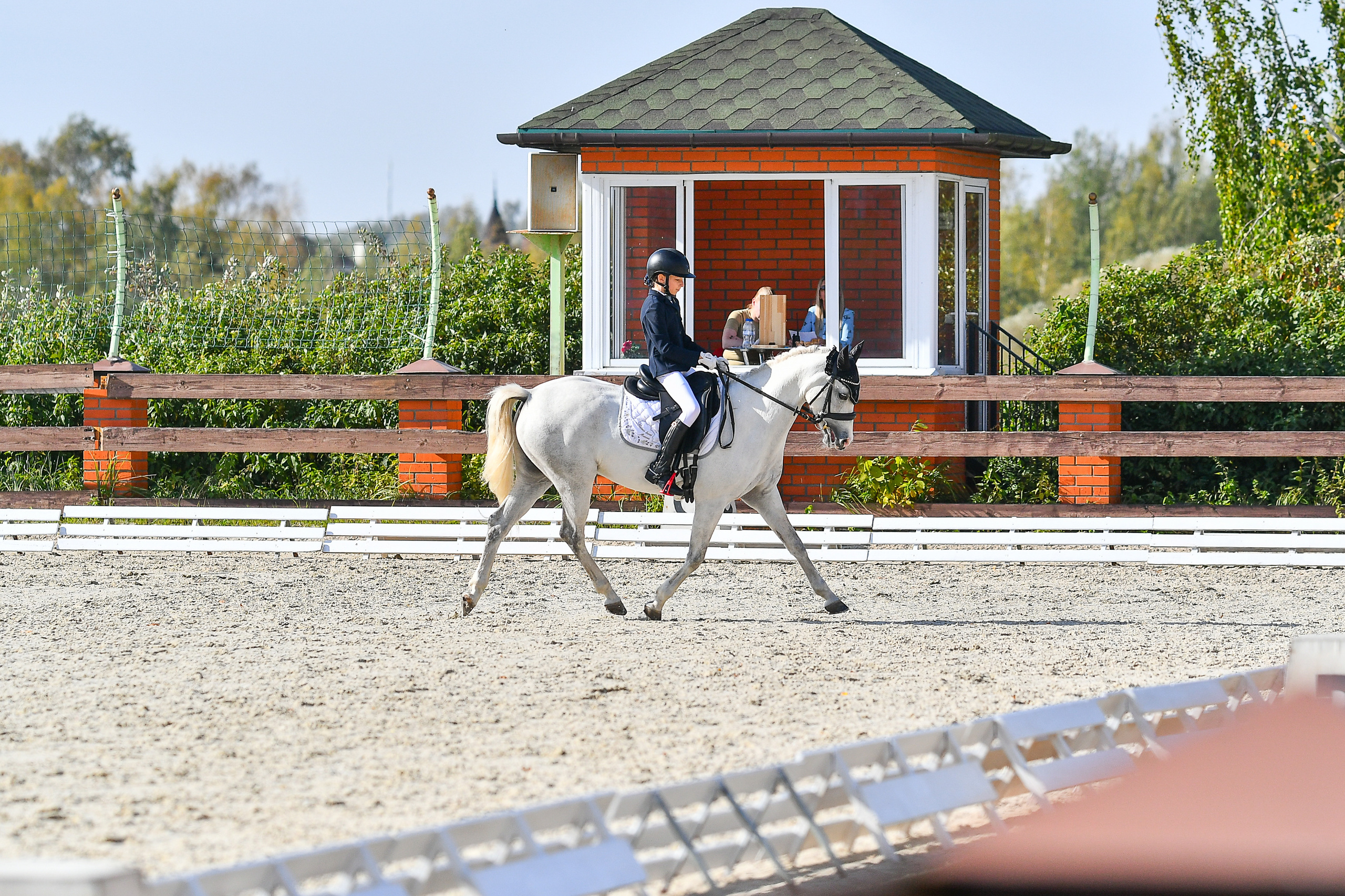 Отзывы. ТУРНИРНАЯ КОННАЯ ФОТОГРАФИЯ, Руднева Ольга и Евгений Адеев