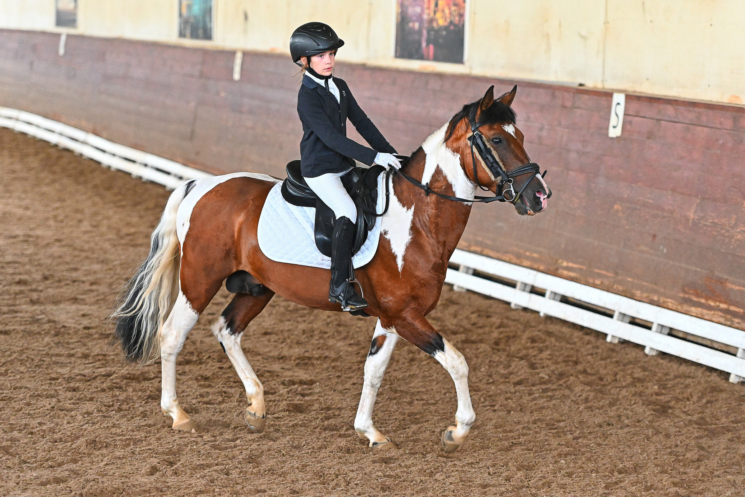 Отзывы. ТУРНИРНАЯ КОННАЯ ФОТОГРАФИЯ, Руднева Ольга и Евгений Адеев