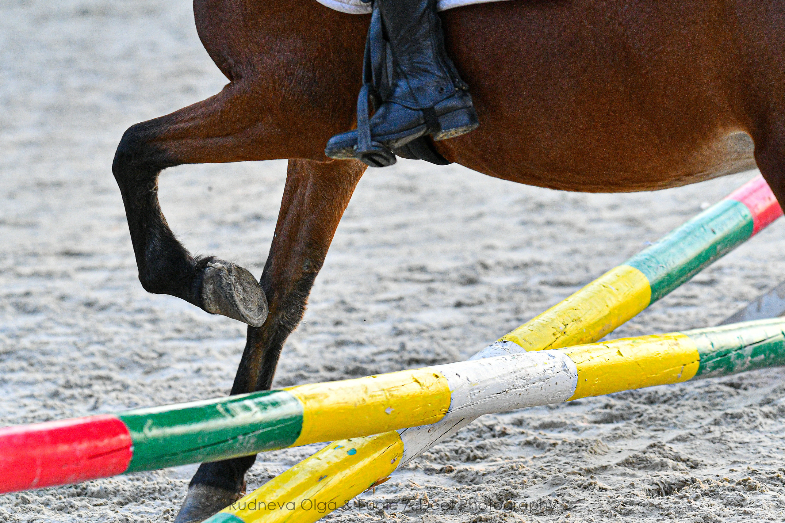 Отзывы. ТУРНИРНАЯ КОННАЯ ФОТОГРАФИЯ, Руднева Ольга и Евгений Адеев