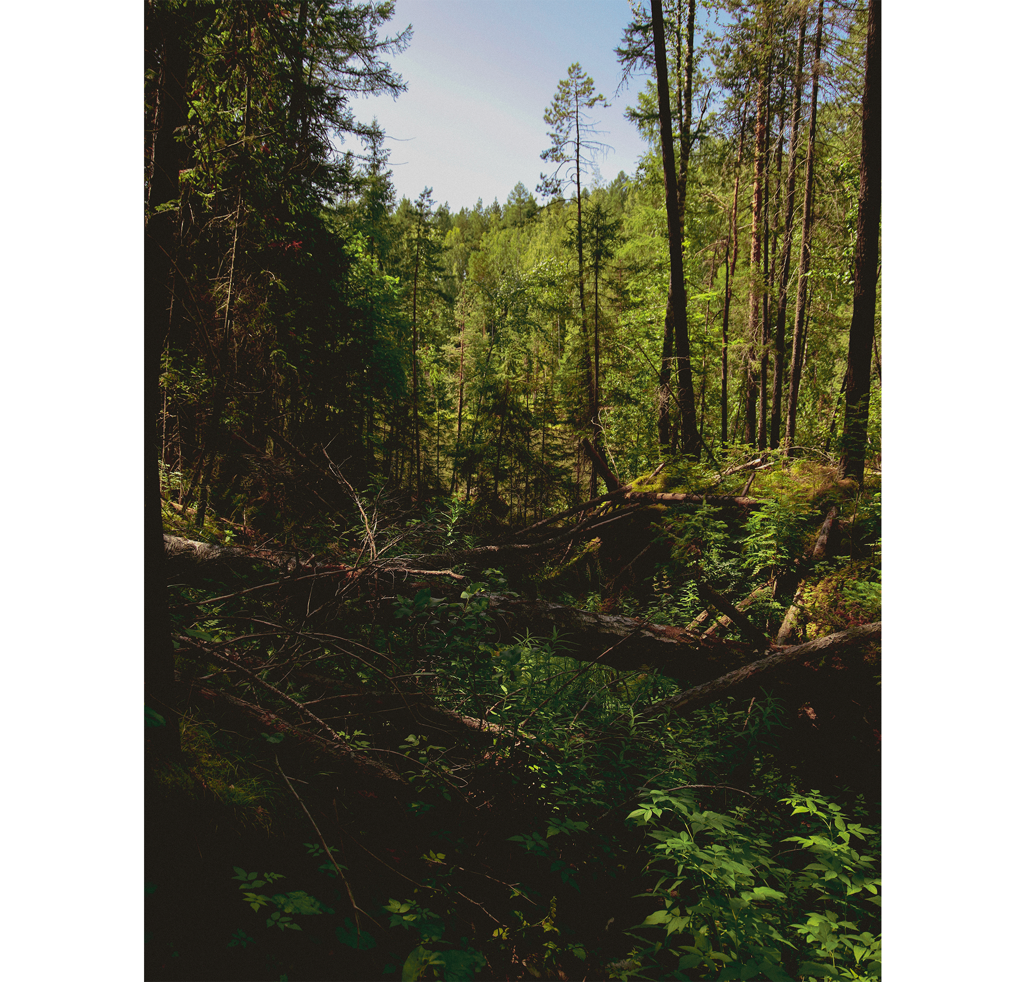 Summer hike. Фотограф/дизайнер в Екатеринбурге Хитрый Дмитрий