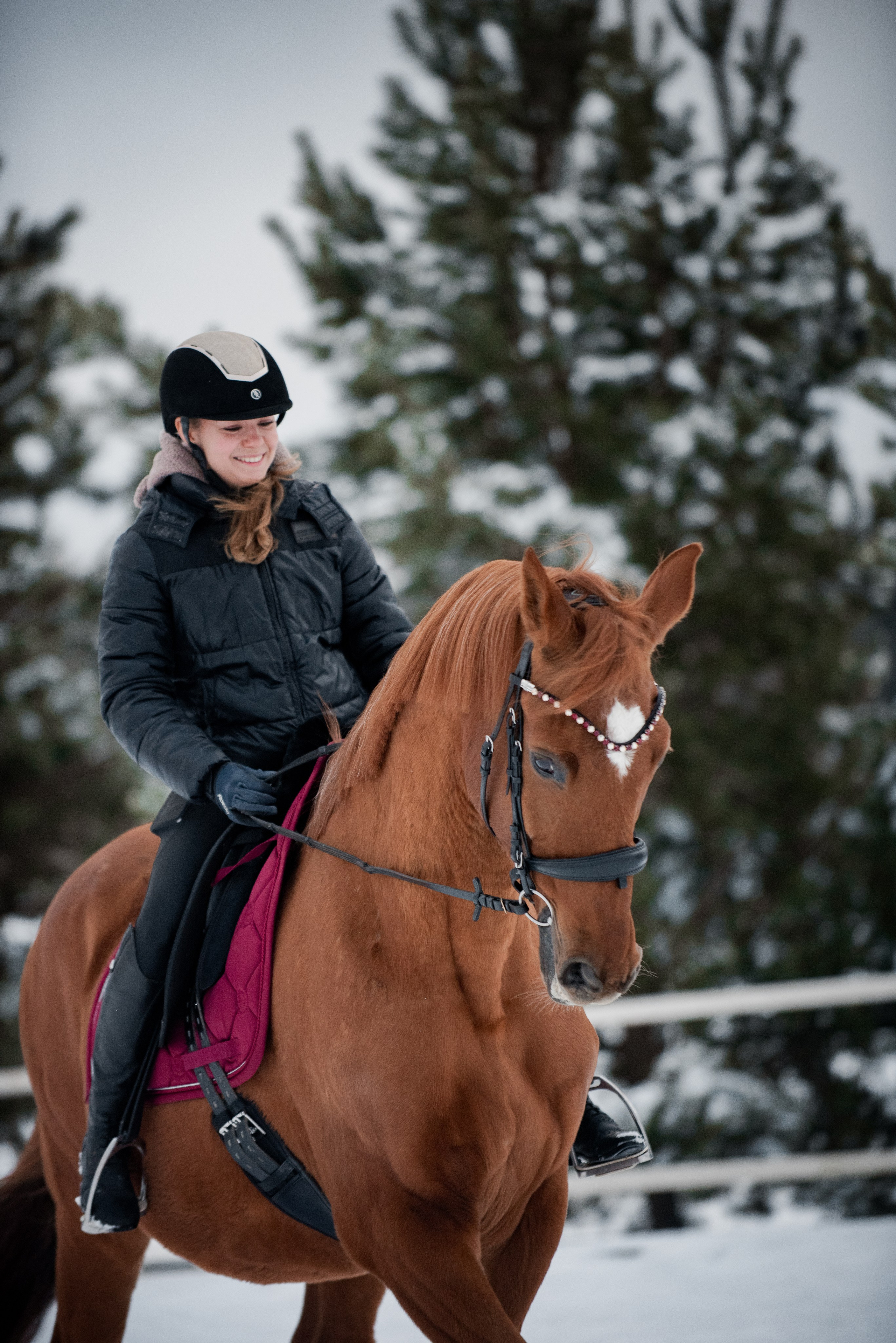 Зимний Настасьин табун. Куракина Дарья • Конный фотограф
