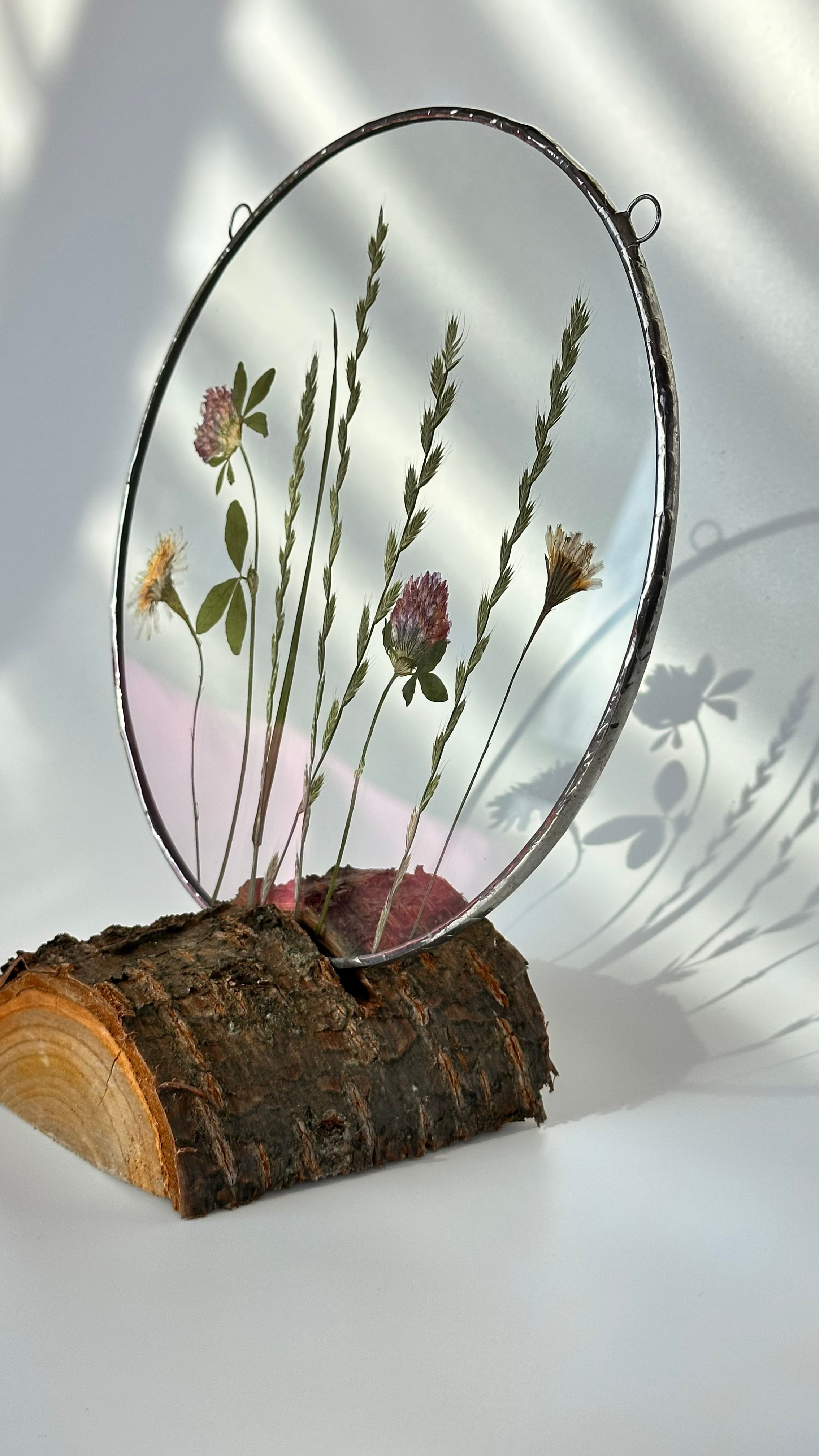 Гербарий полевые цветы витраж техника тиффани. Гербарий в стекле, интерьерные панно, витражи с сухоцветами в технике тиффани