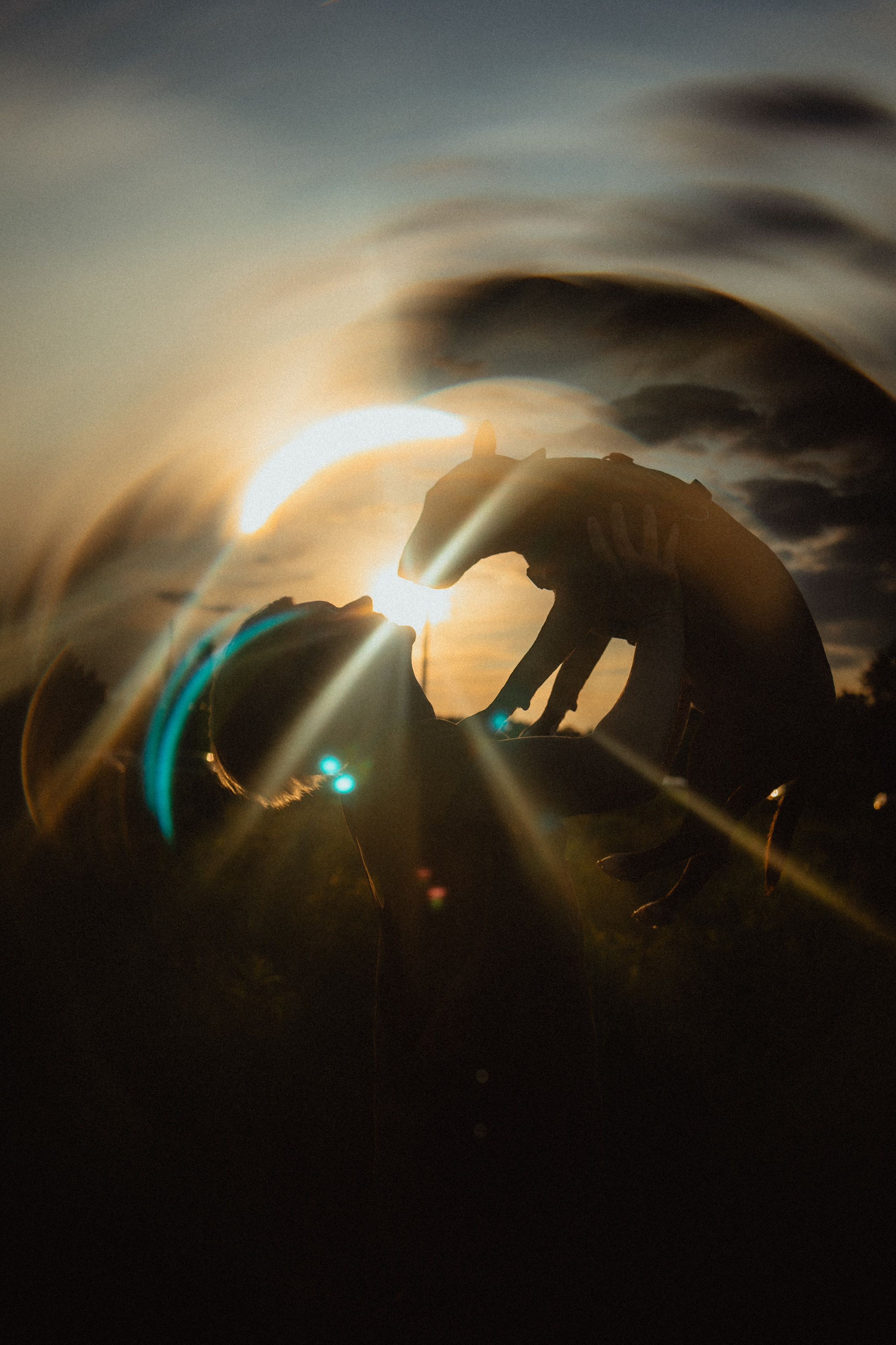 Выездной дог-тренинг от школы «Шерсть имею»