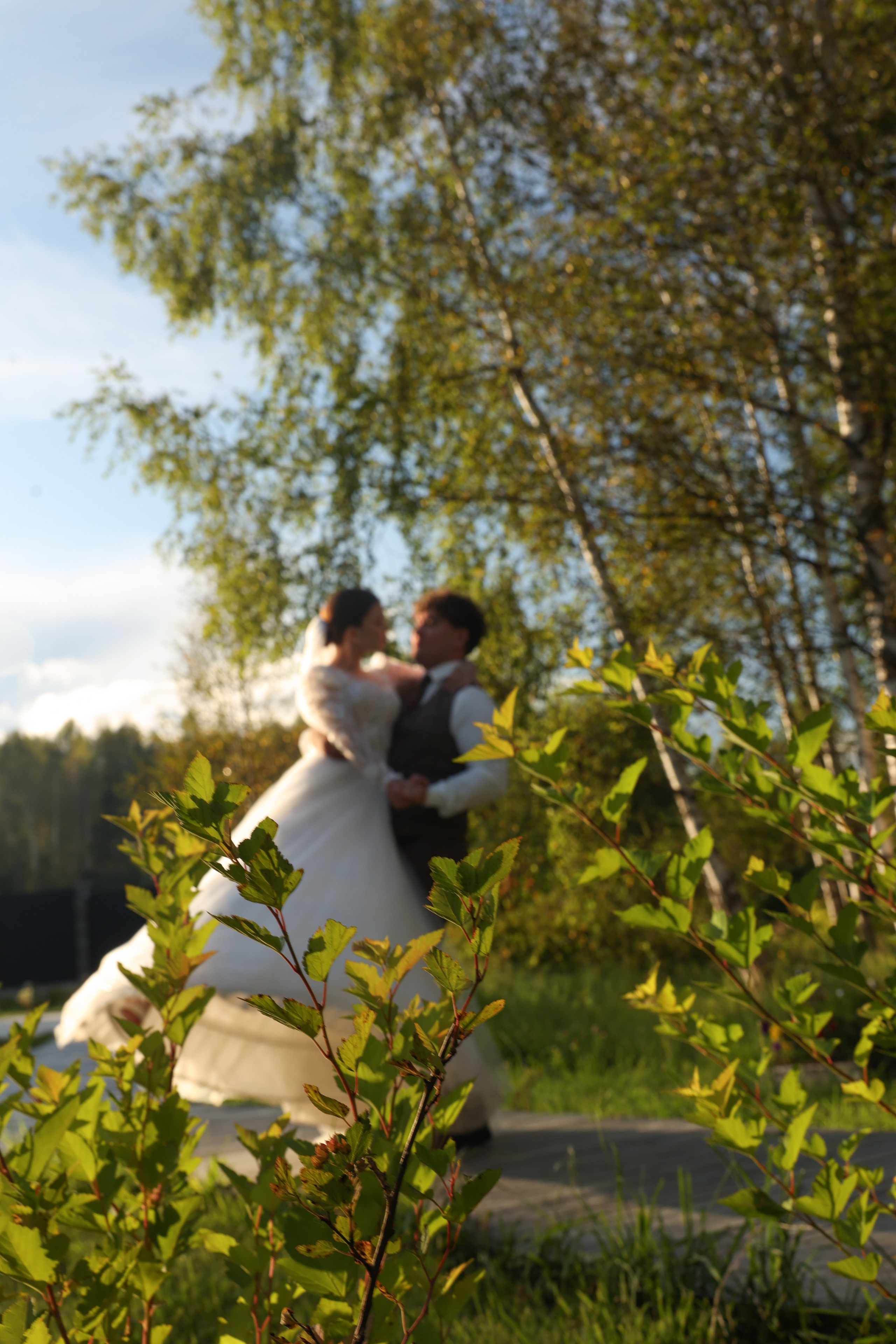 Green-house. Главная