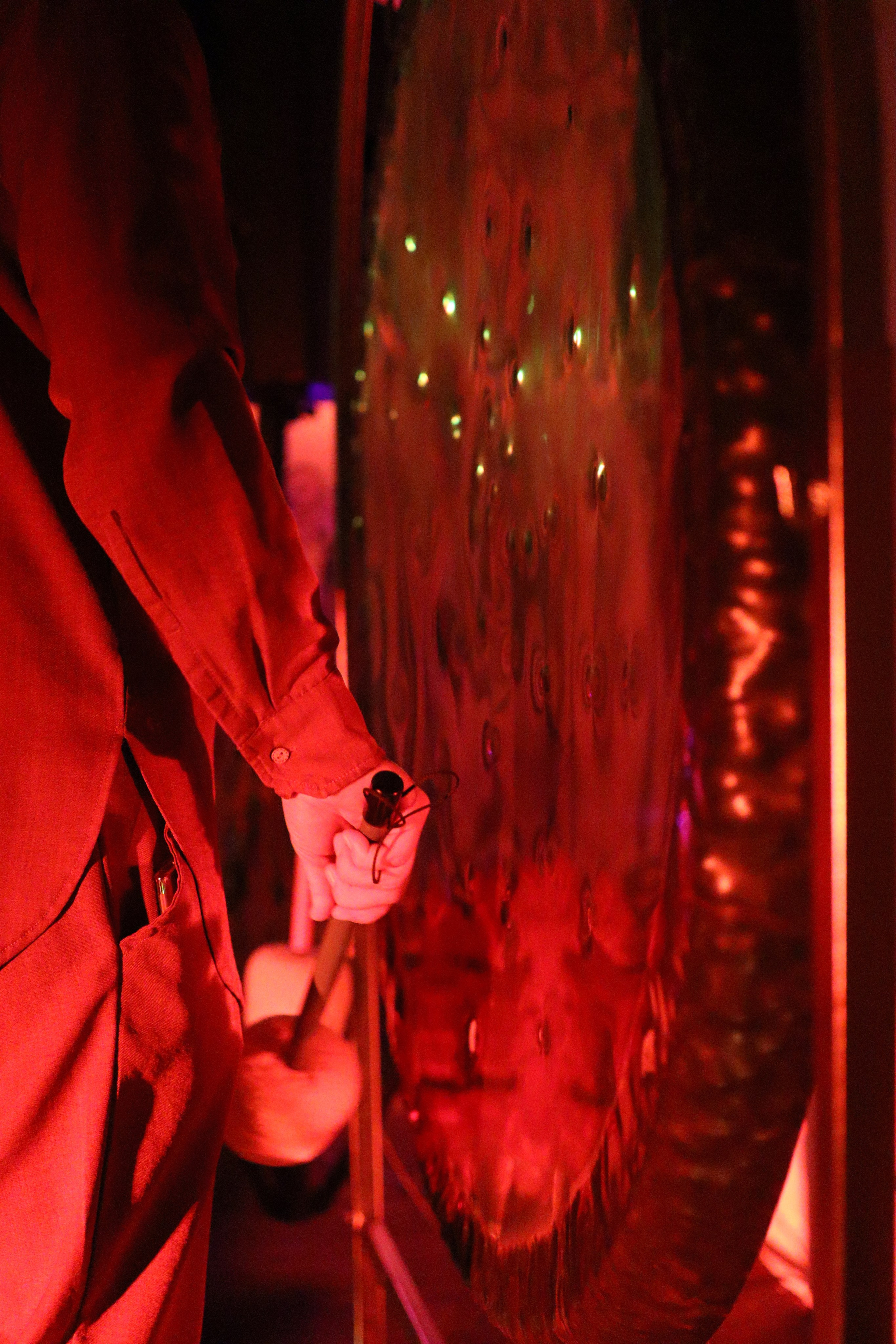 Китайский Новый Год. Photo Ninja