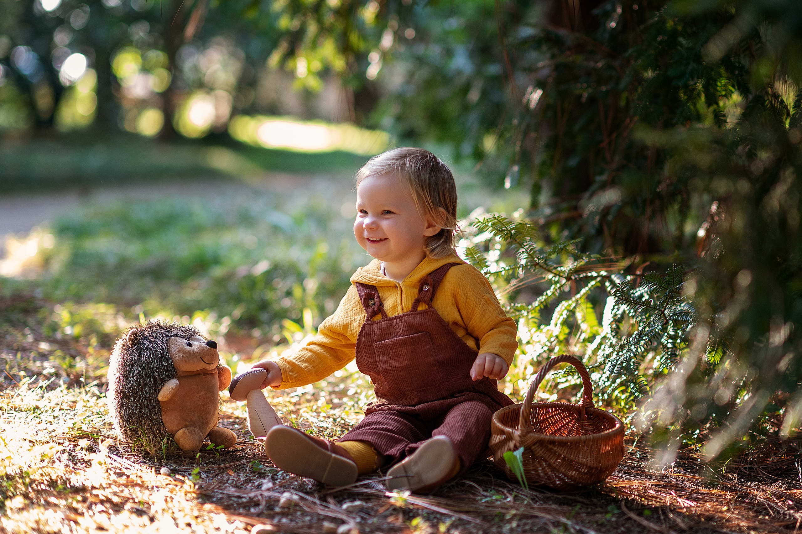 Ежик, грибы и орешки для белочки. Детский фотограф Абхазия