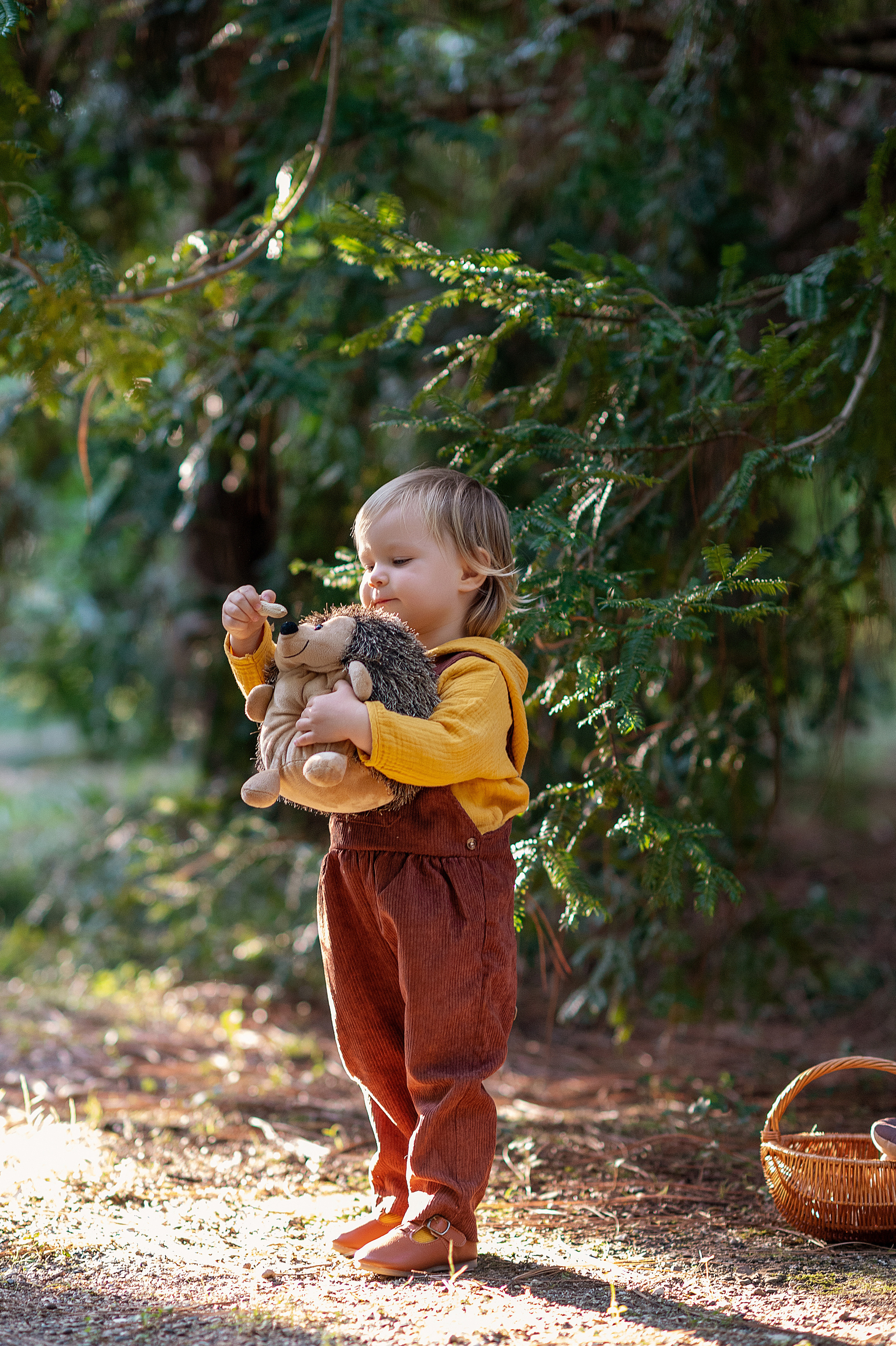 Ежик, грибы и орешки для белочки. Детский фотограф Абхазия