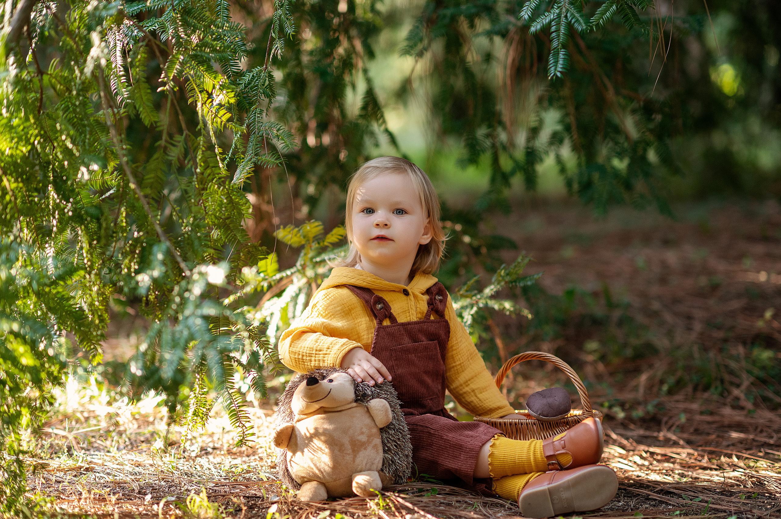 Ежик, грибы и орешки для белочки. Детский фотограф Абхазия