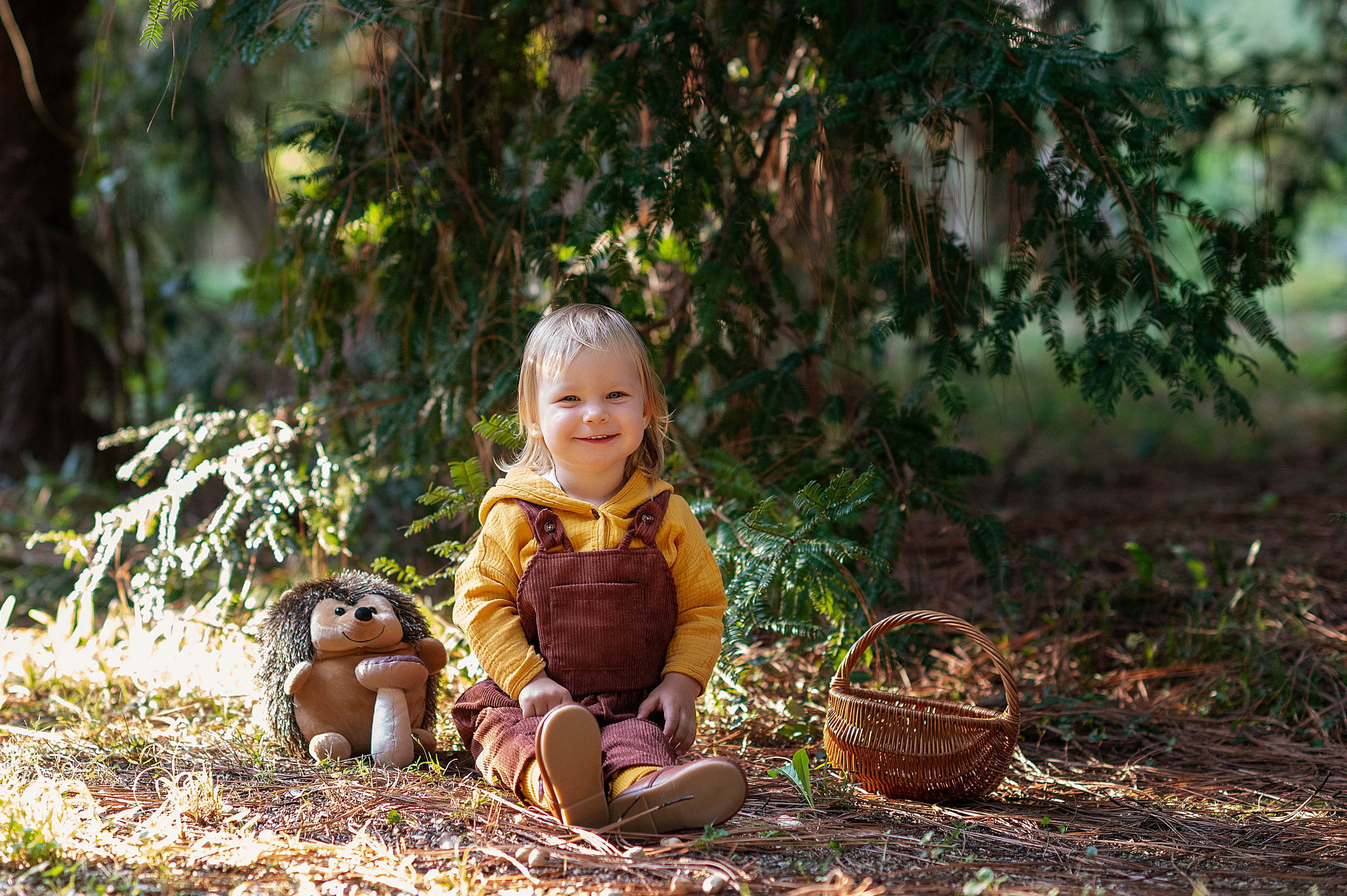 Ежик, грибы и орешки для белочки. Детский фотограф Абхазия