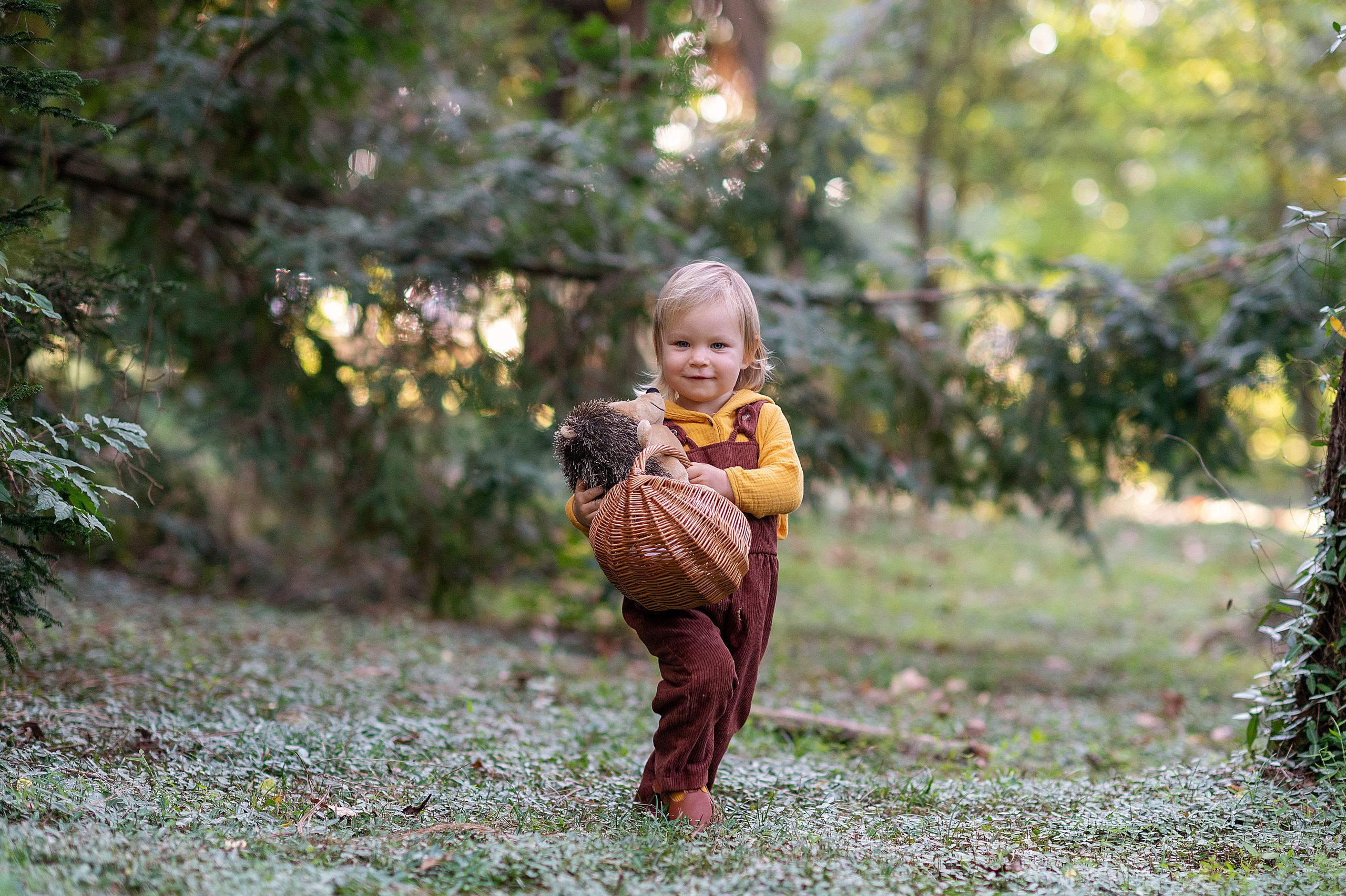Ежик, грибы и орешки для белочки. Детский фотограф Абхазия