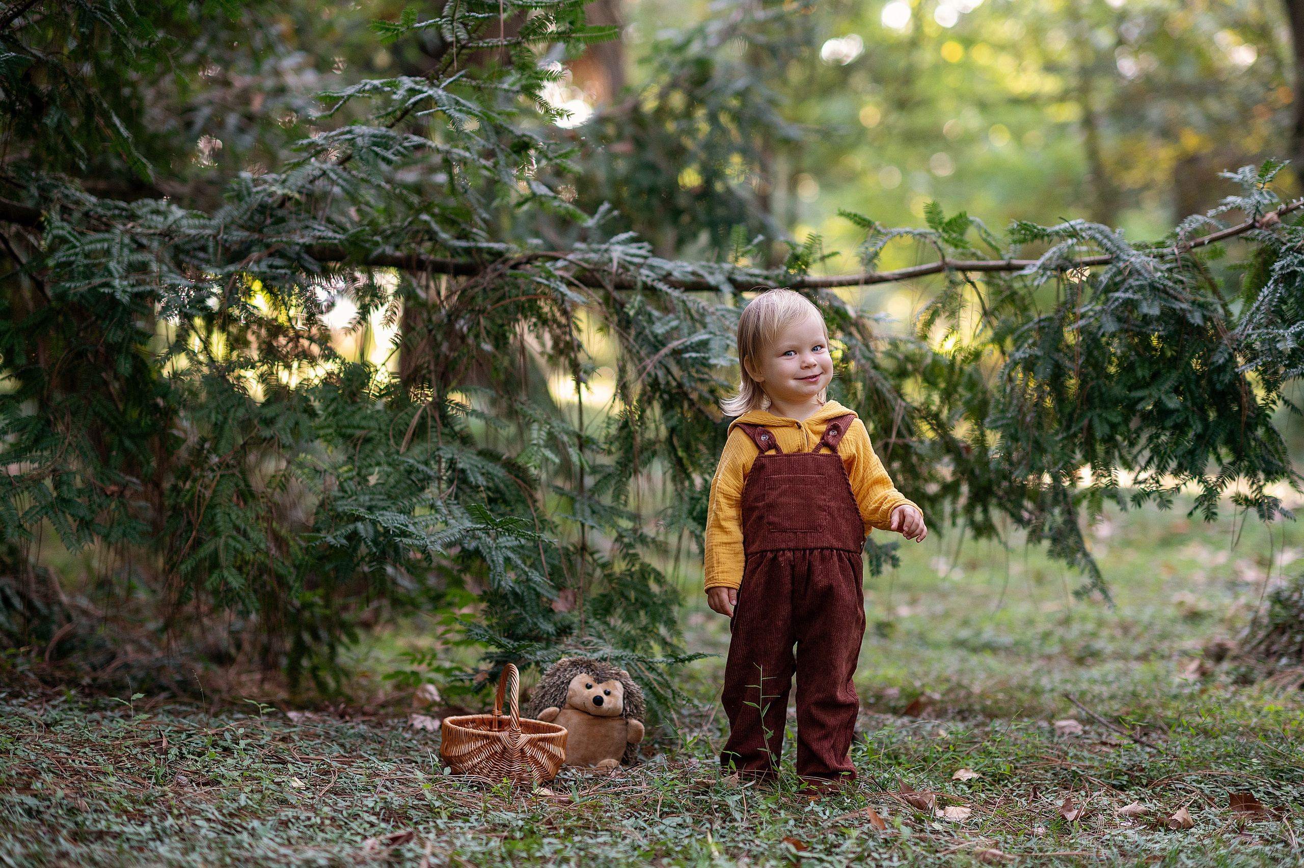 Ежик, грибы и орешки для белочки. Детский фотограф Абхазия