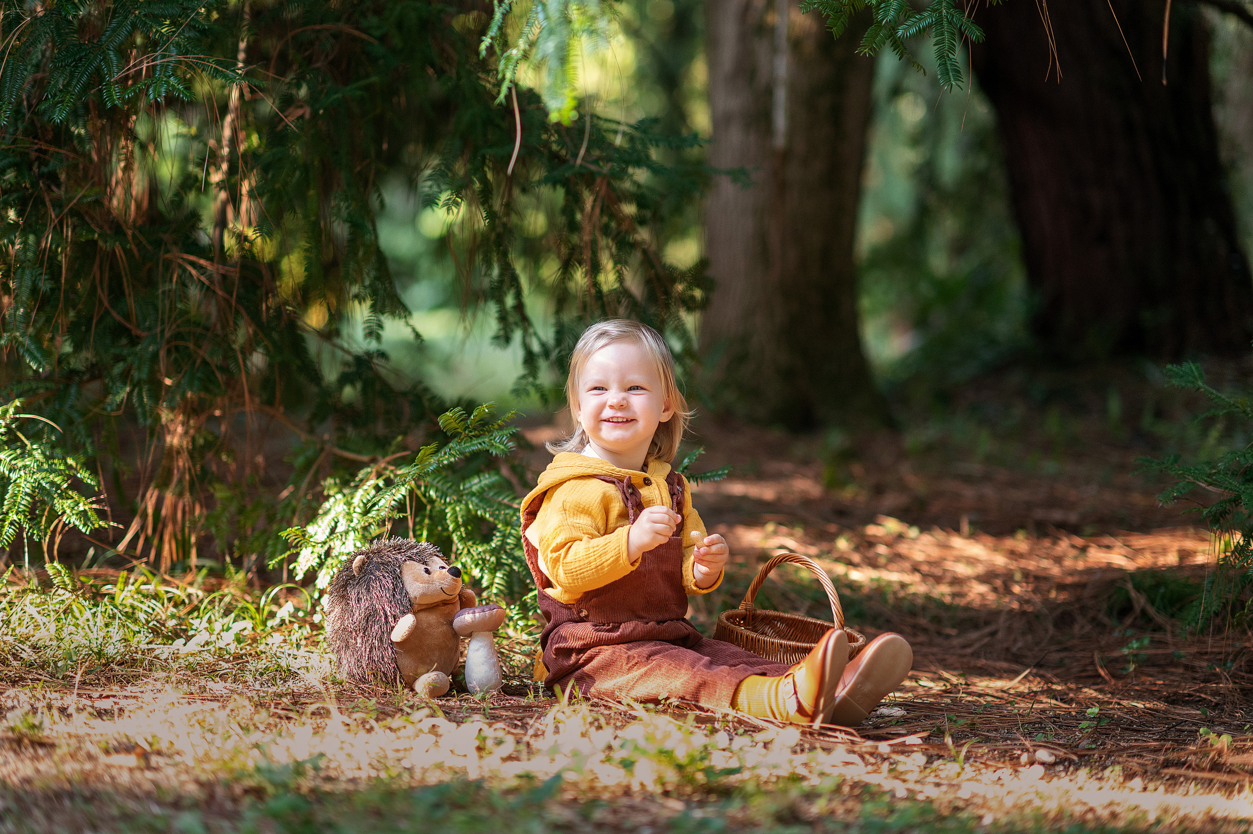 Ежик, грибы и орешки для белочки. Детский фотограф Абхазия