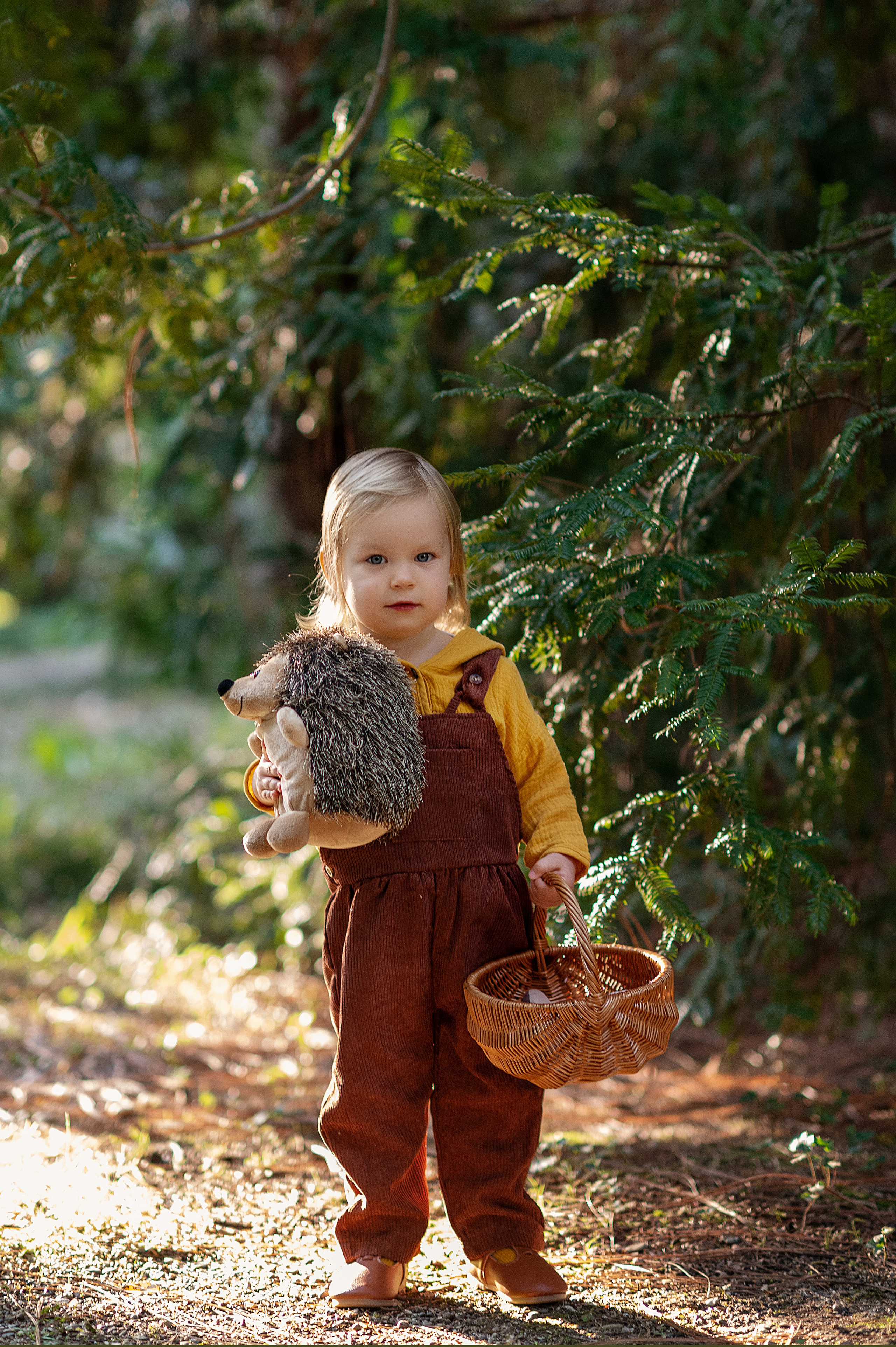 Ежик, грибы и орешки для белочки. Детский фотограф Абхазия