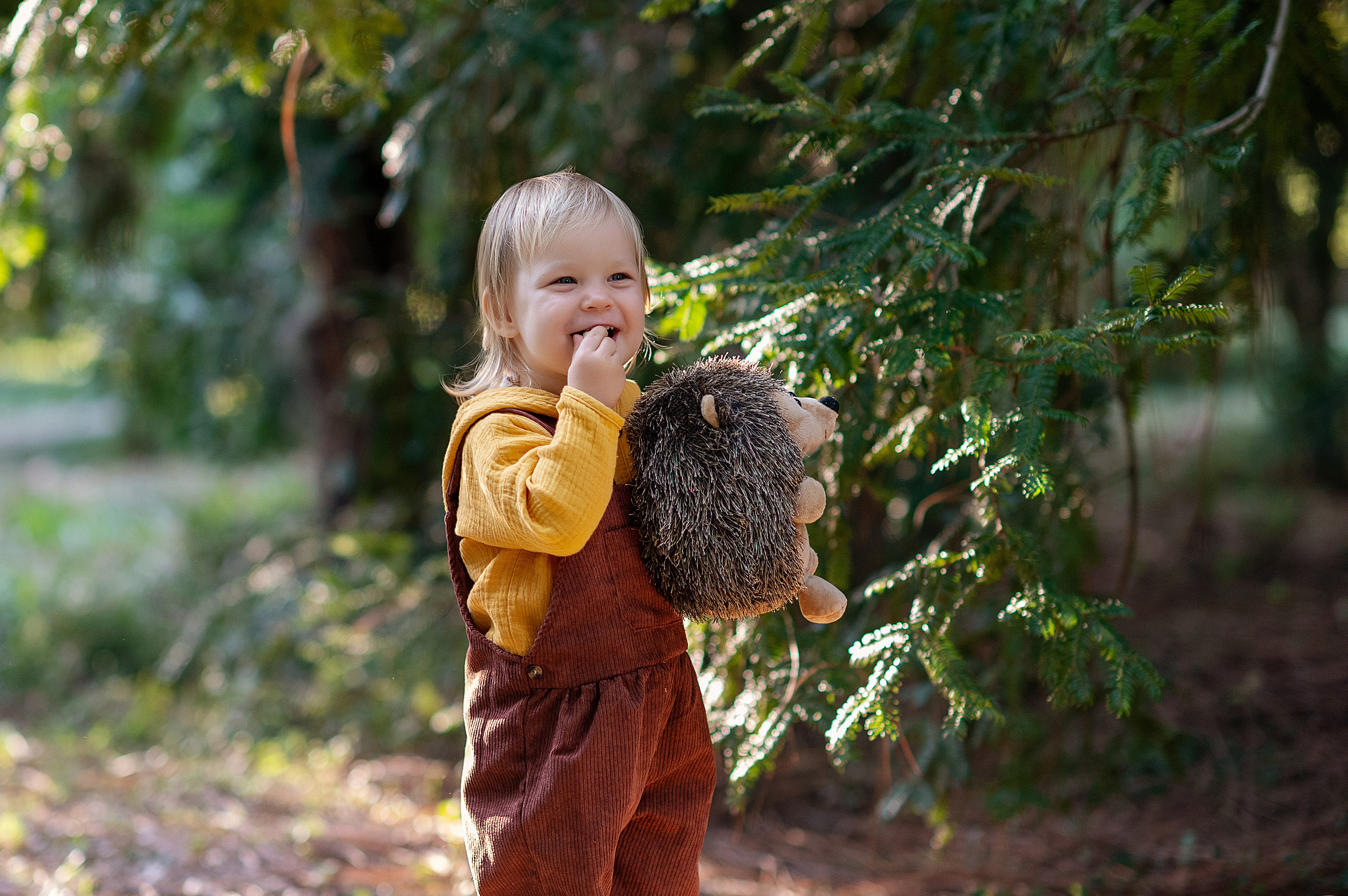 Ежик, грибы и орешки для белочки. Детский фотограф Абхазия