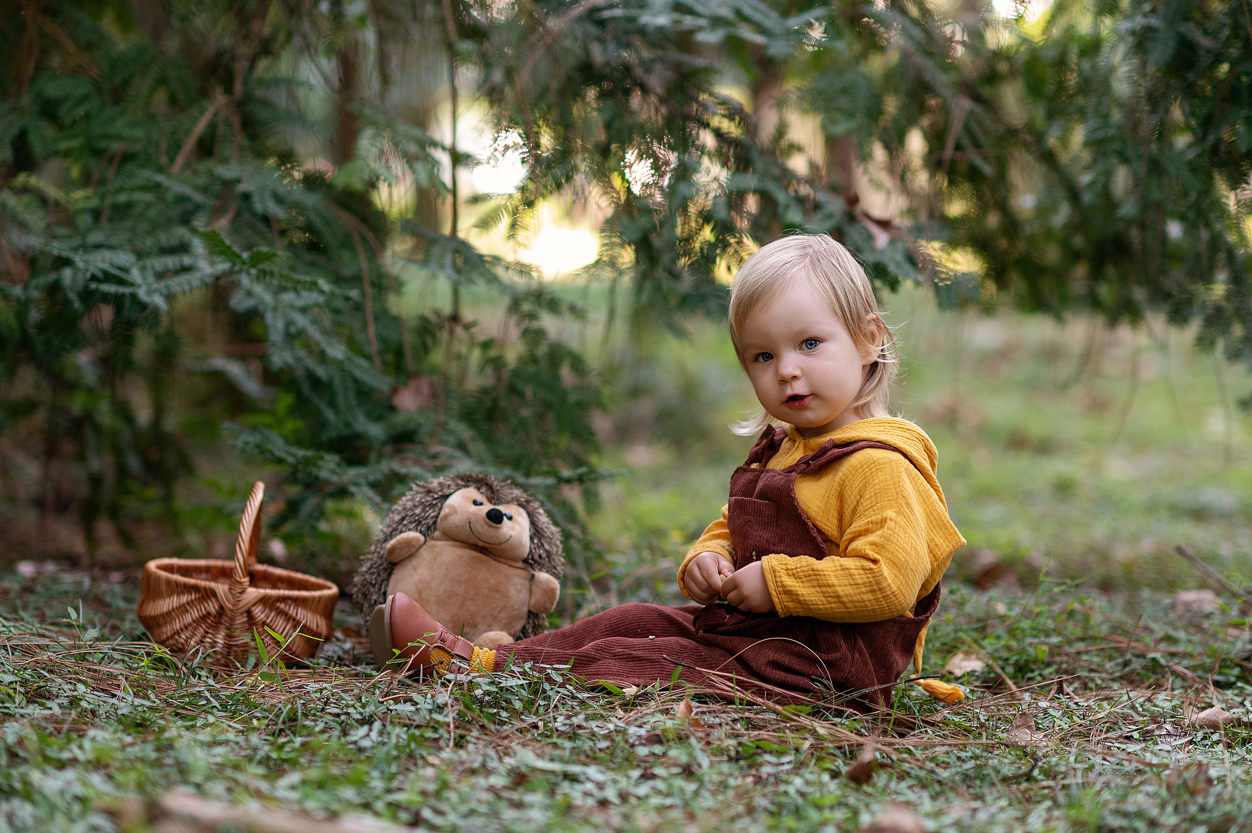 Ежик, грибы и орешки для белочки. Детский фотограф Абхазия