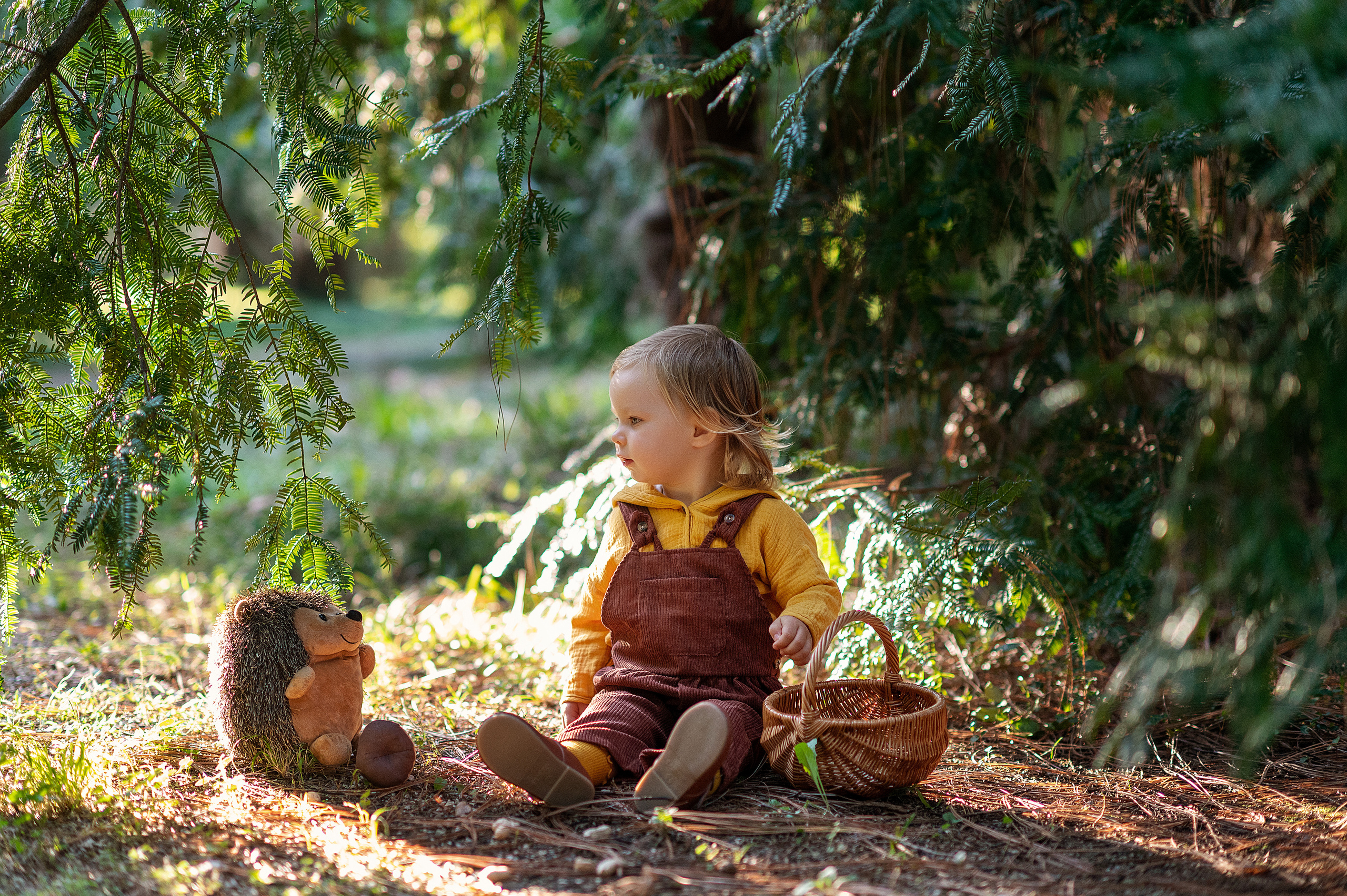 Ежик, грибы и орешки для белочки. Детский фотограф Абхазия