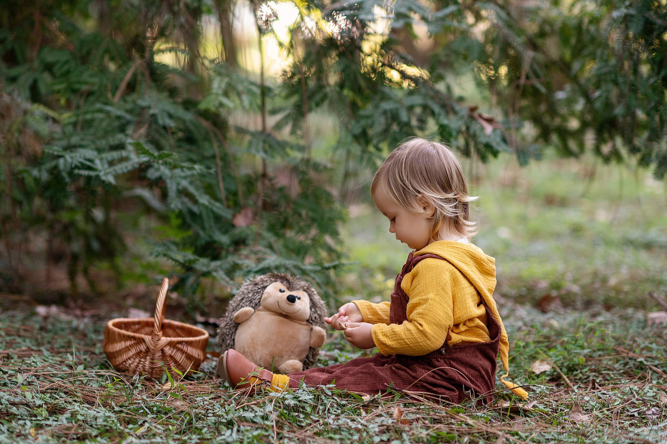 Ежик, грибы и орешки для белочки. Детский фотограф Абхазия