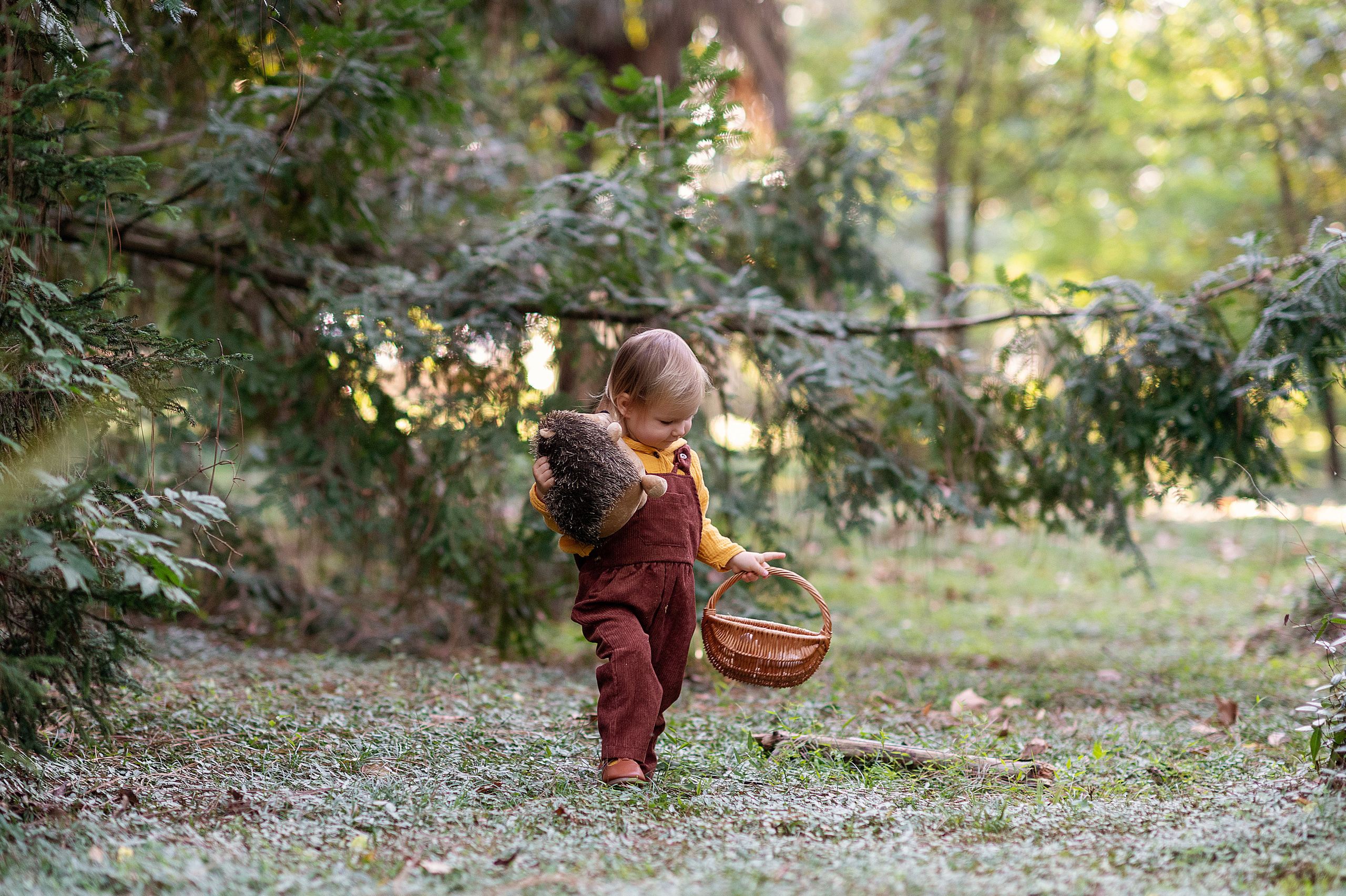 Ежик, грибы и орешки для белочки. Детский фотограф Абхазия