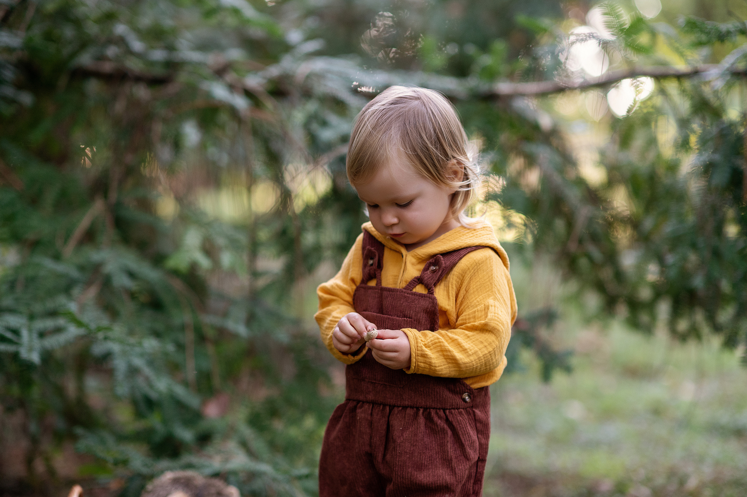 Ежик, грибы и орешки для белочки. Детский фотограф Абхазия