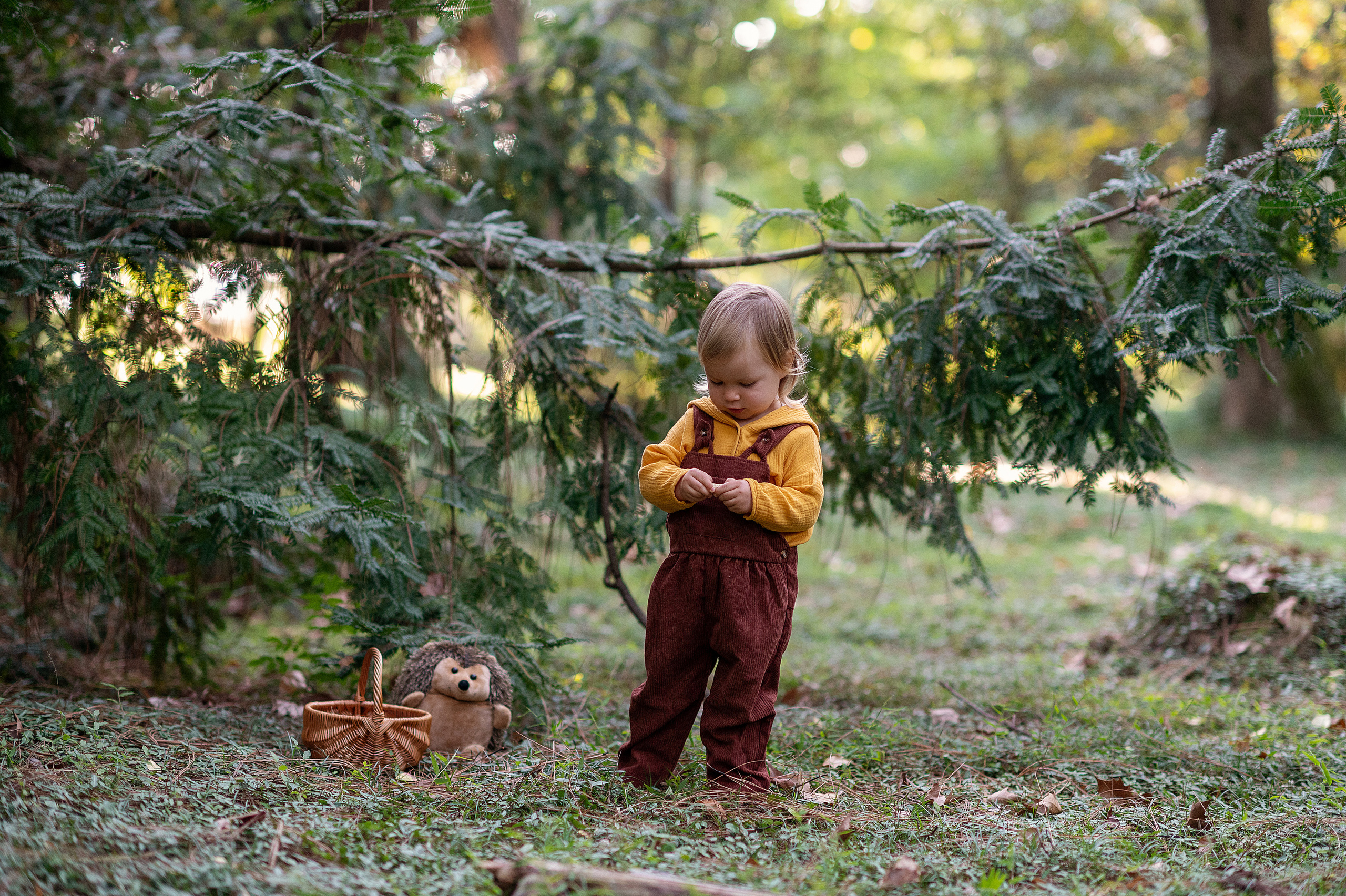 Ежик, грибы и орешки для белочки. Детский фотограф Абхазия