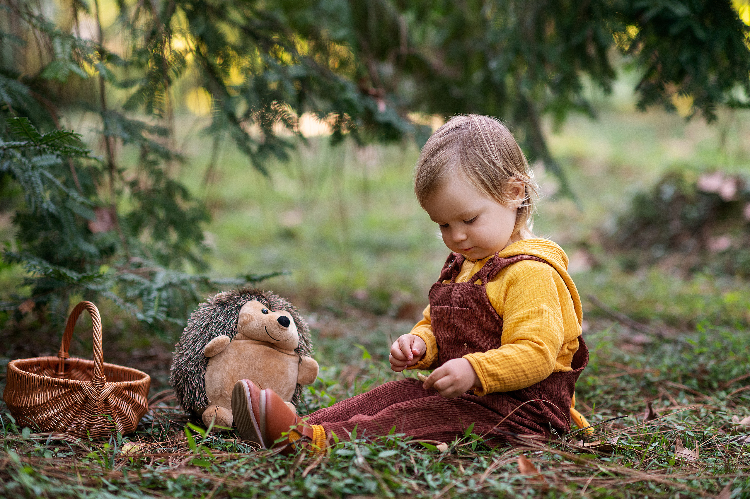 Ежик, грибы и орешки для белочки. Детский фотограф Абхазия
