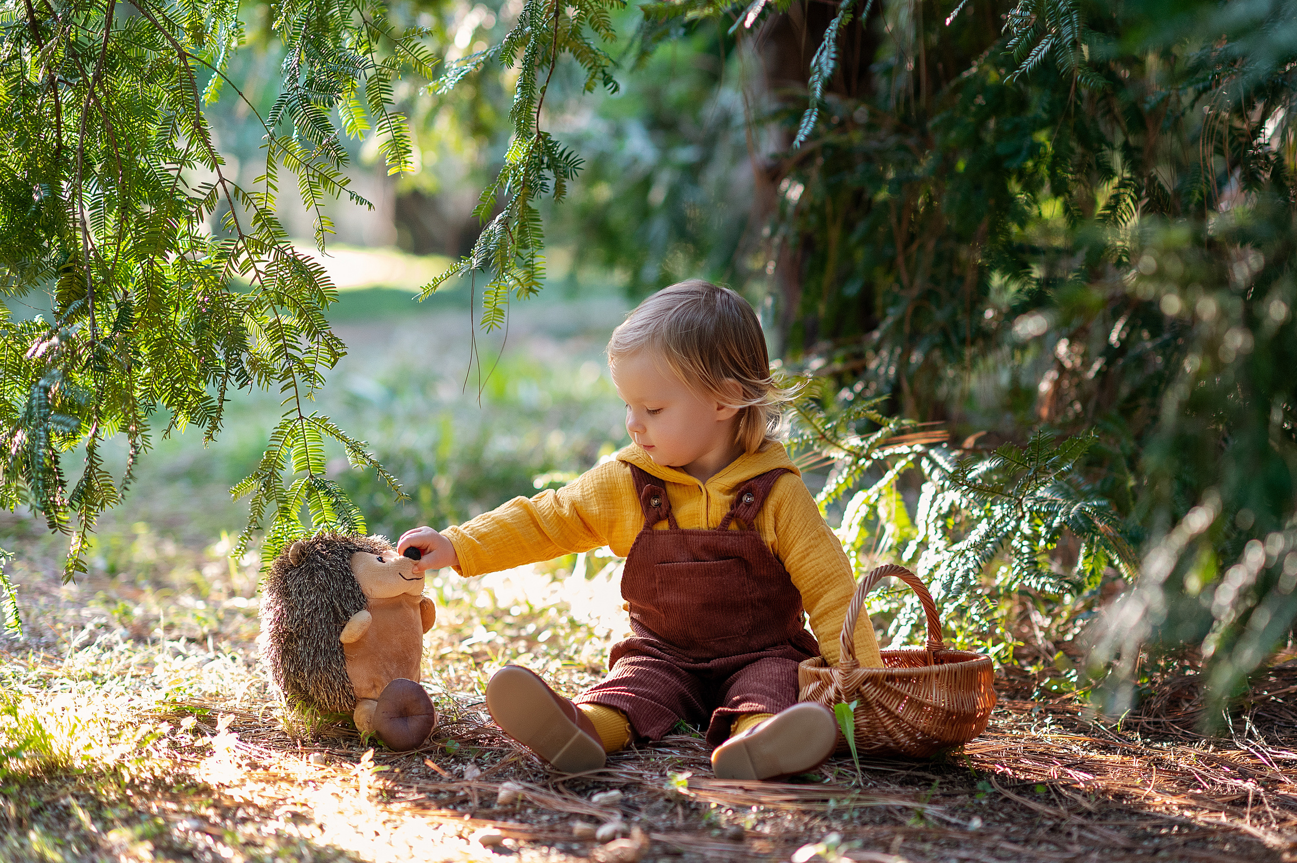 Ежик, грибы и орешки для белочки. Детский фотограф Абхазия