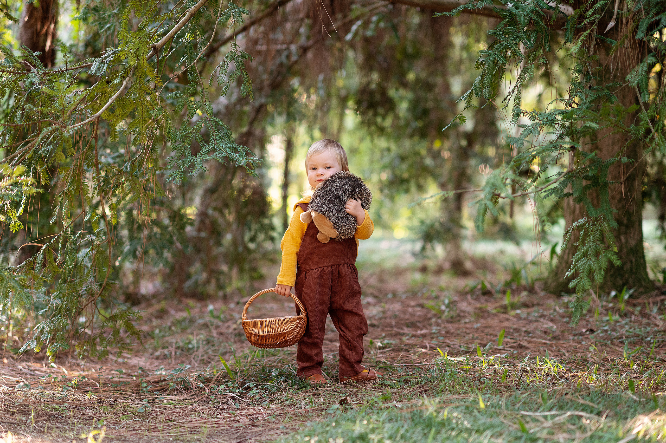 Ежик, грибы и орешки для белочки. Детский фотограф Абхазия
