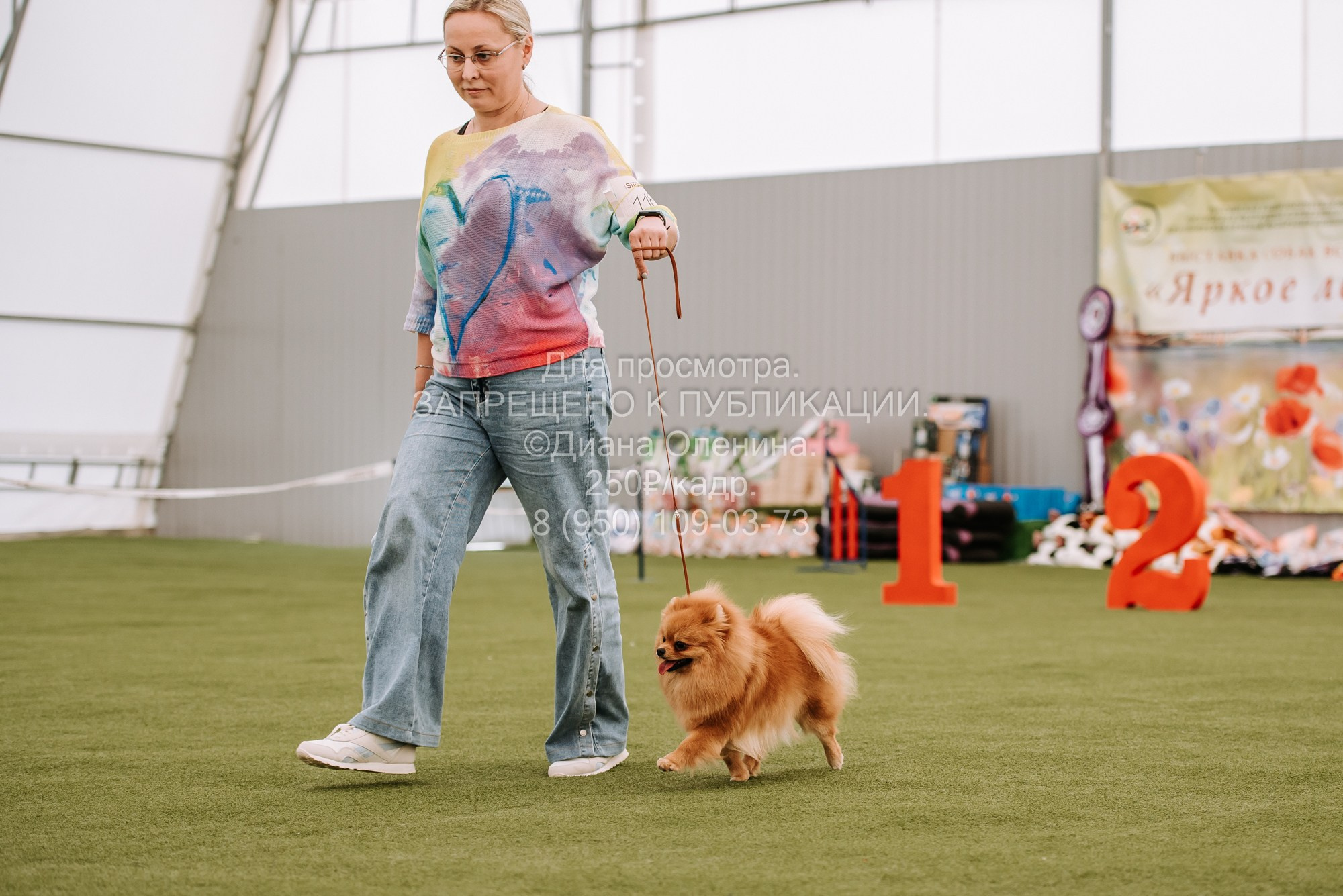 Выставка собак Красноярск 2.06. Фотограф Диана Оленина Красноярск / Братск
