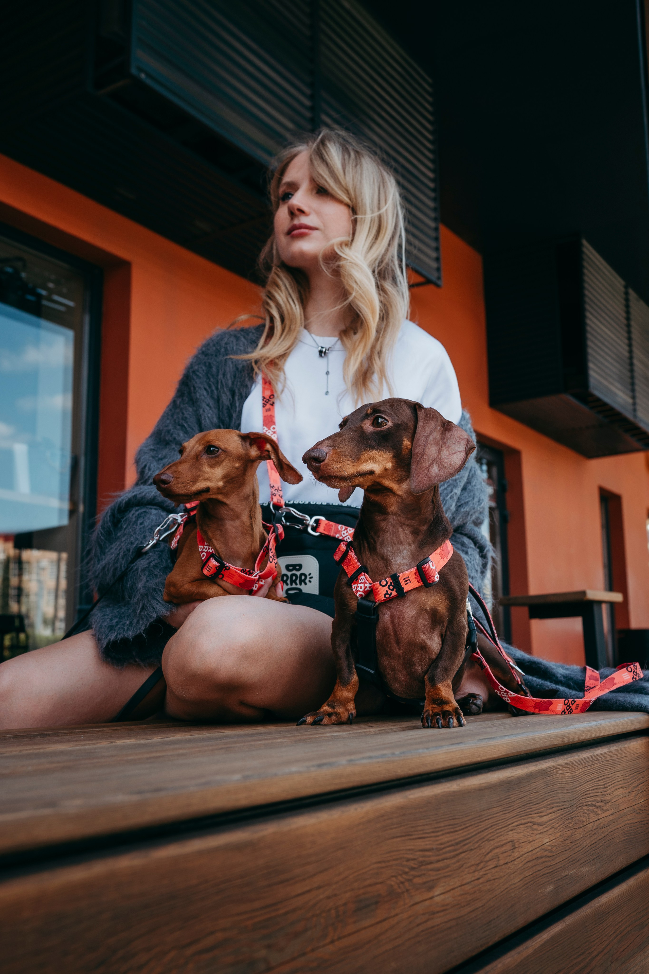 BRRRO. Семейный фотограф анималист Ананьева Мария — Москва