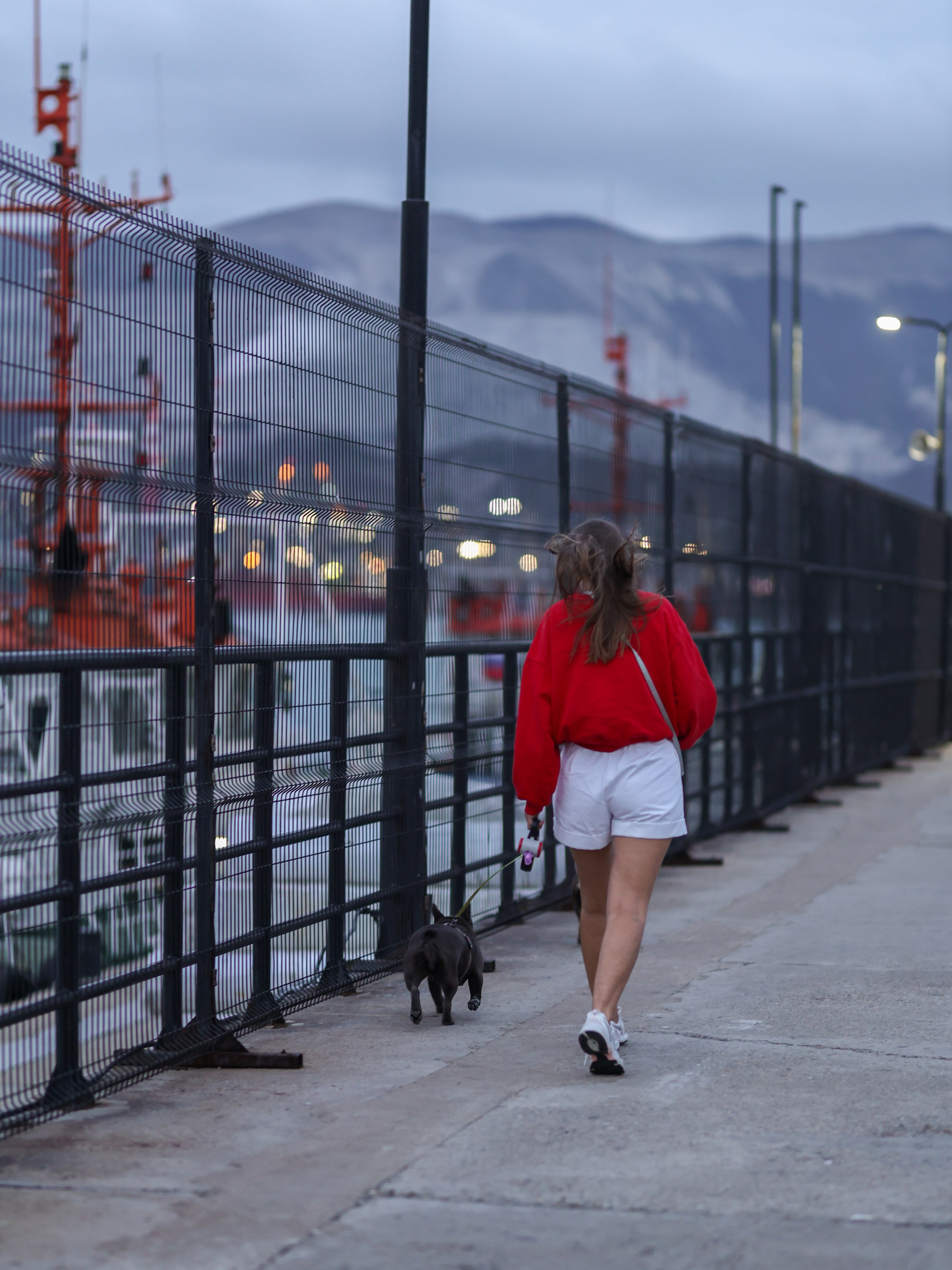 Белла, Луна и Нелли. Фотограф-анималист в Москве Кириллова Татьяна