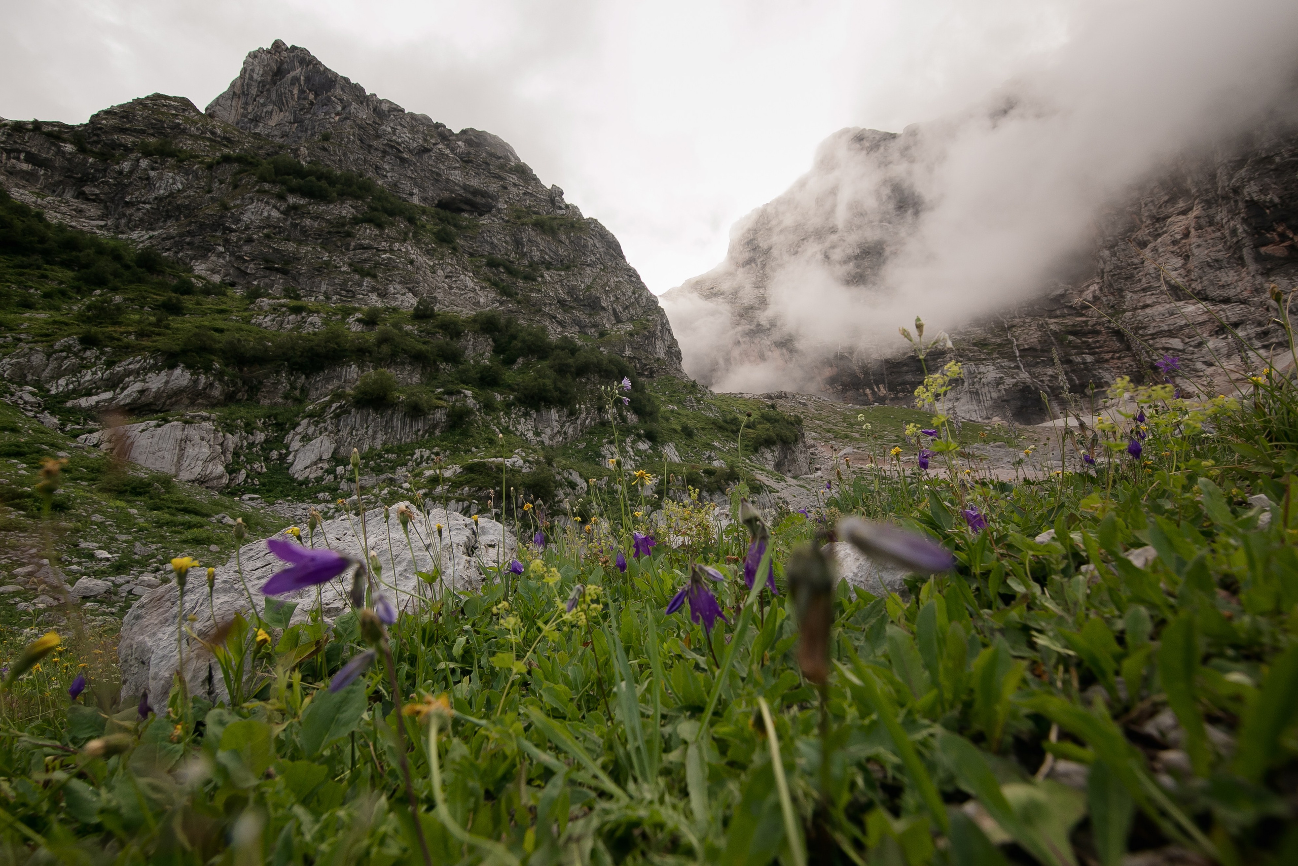 Кавказ. Свадебный и репортажный фотограф в Ярославле и Санкт-Петербурге Роман Микрюков