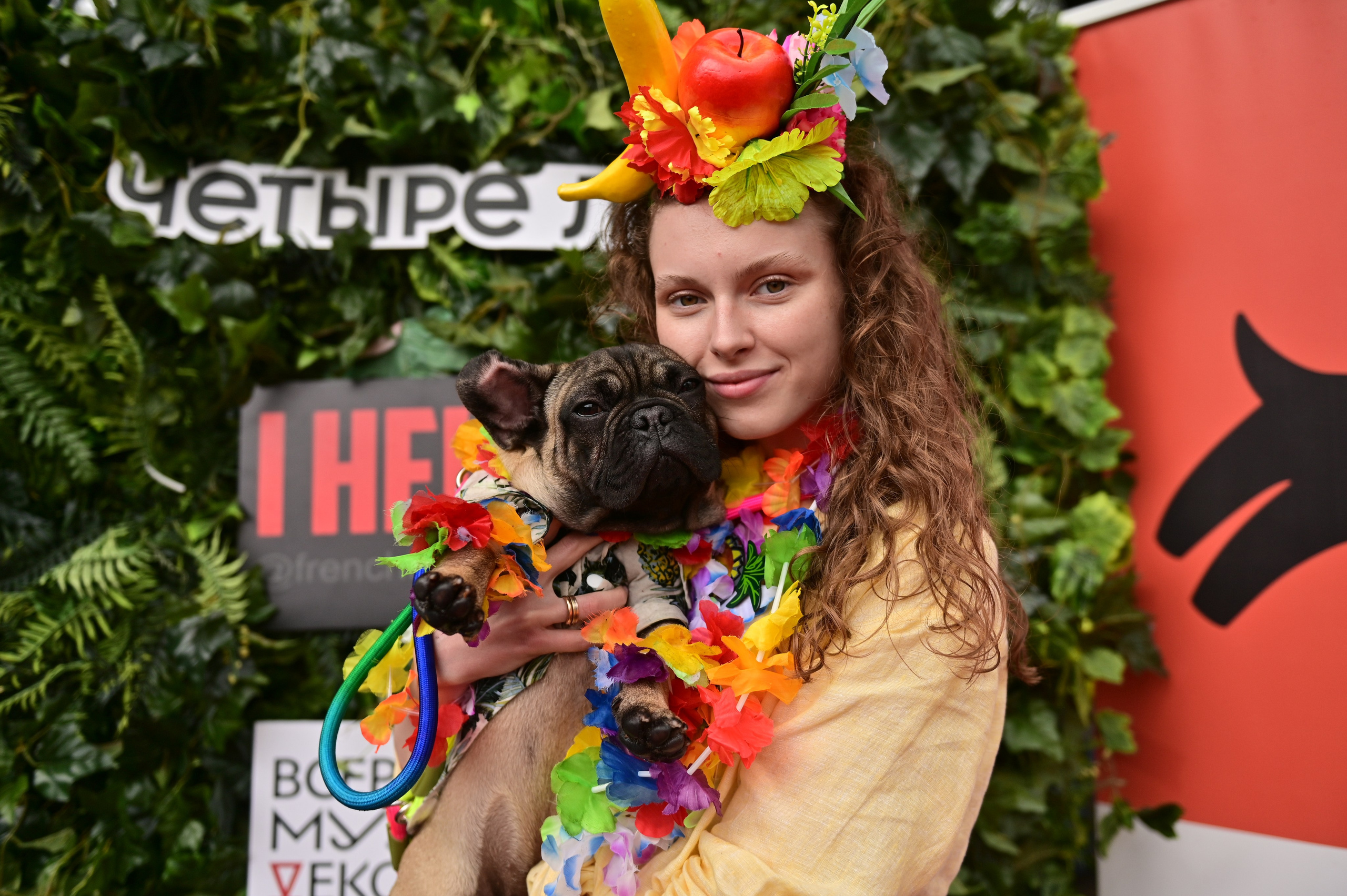 Парад французский бульдогов. Анна Пушина, фотограф, Москва, Королев, Пушкино