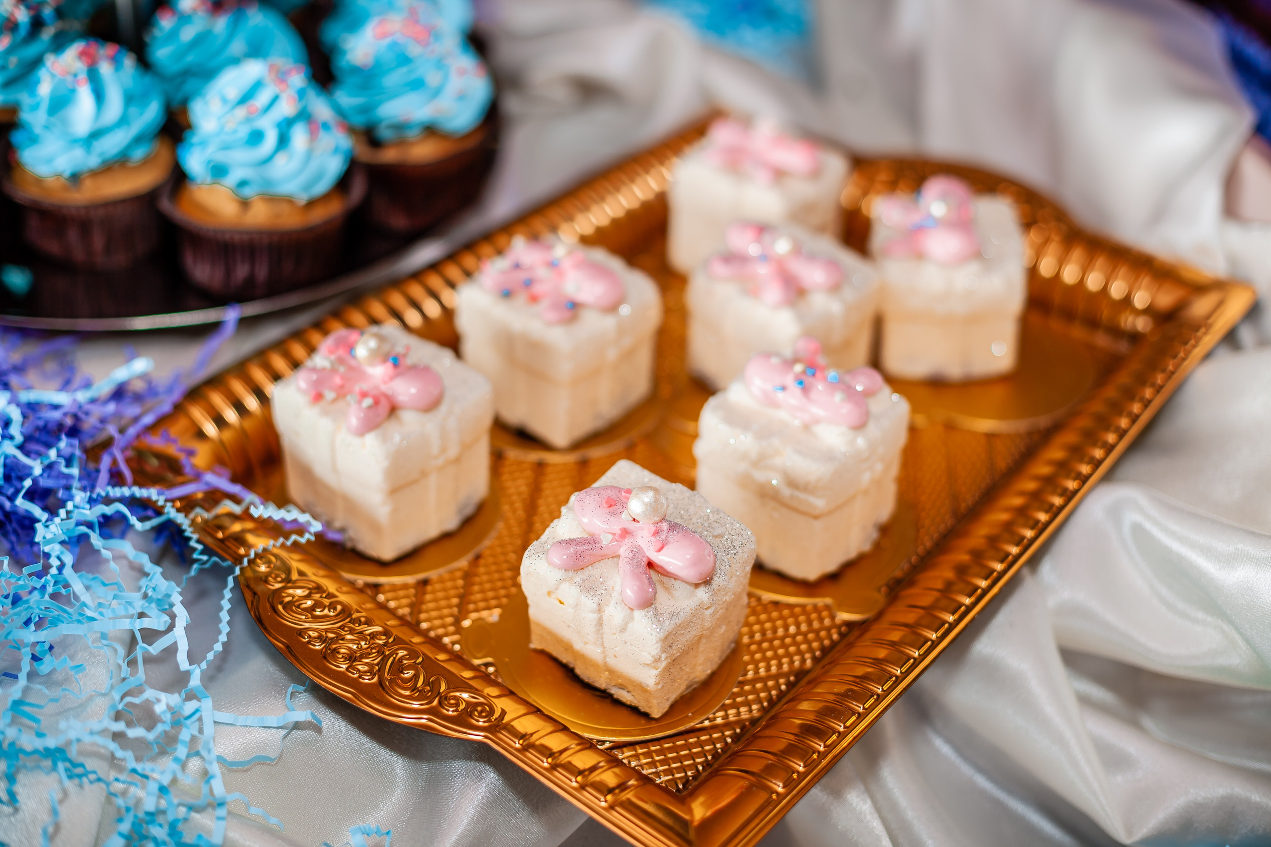 Открытие детского ресторана Чайка Kids в Ялте. Репортажный фотограф Ялта