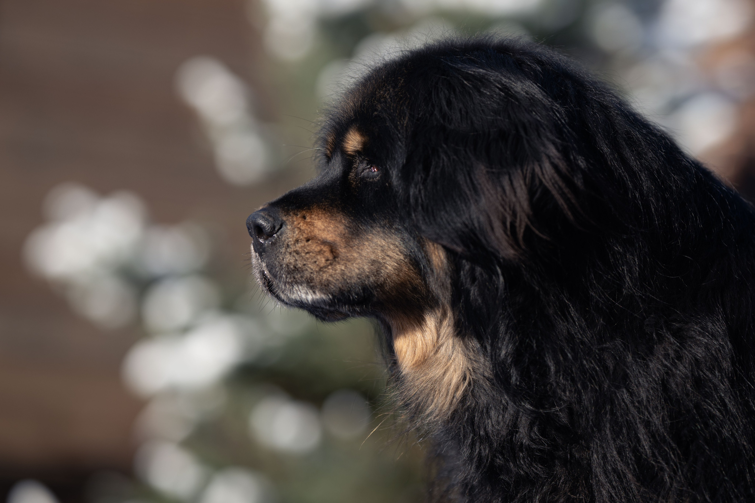 Первый снег 16 ноября 2025. -