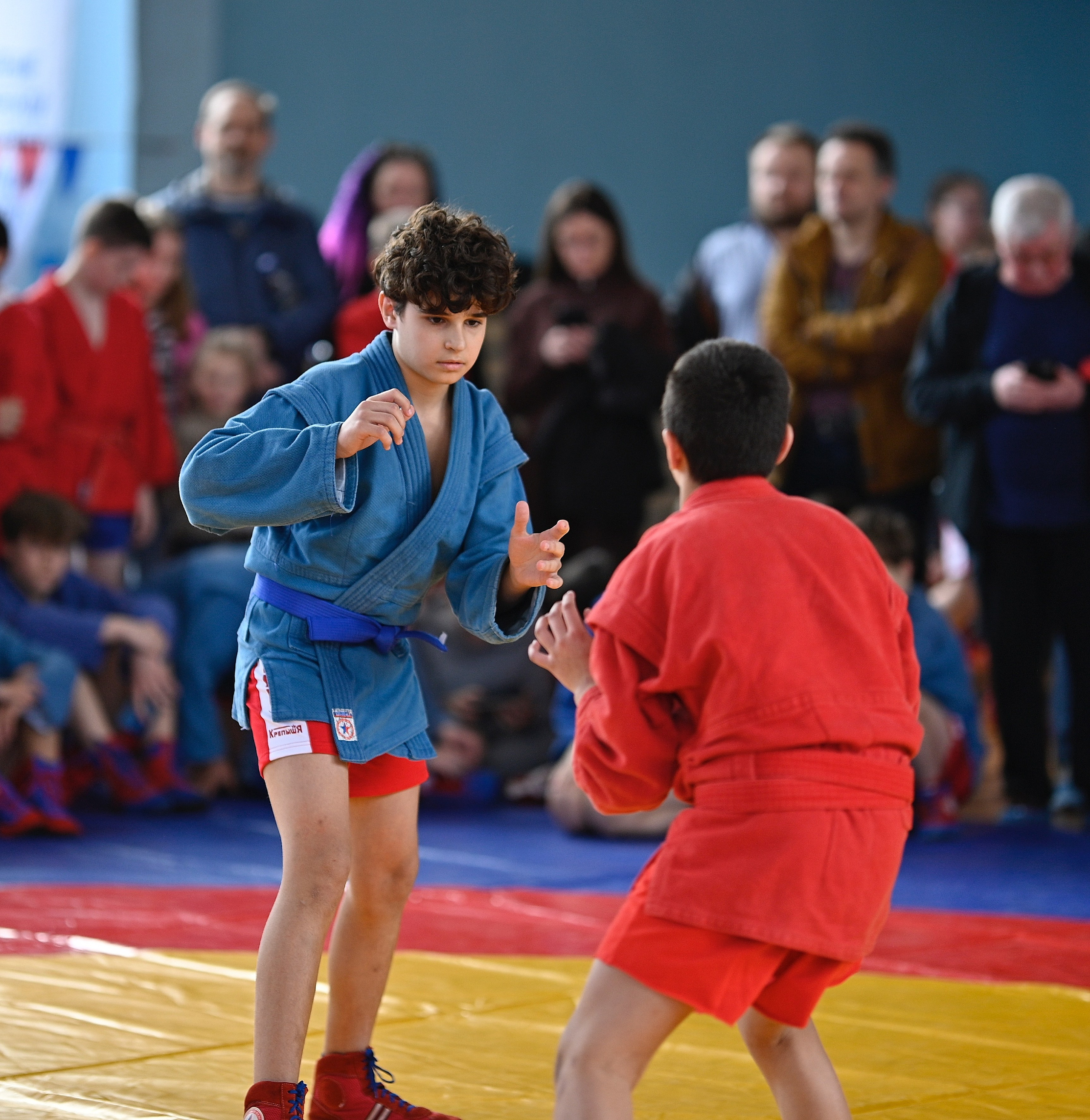 Самбо. Фотограф Ваших событий 📸