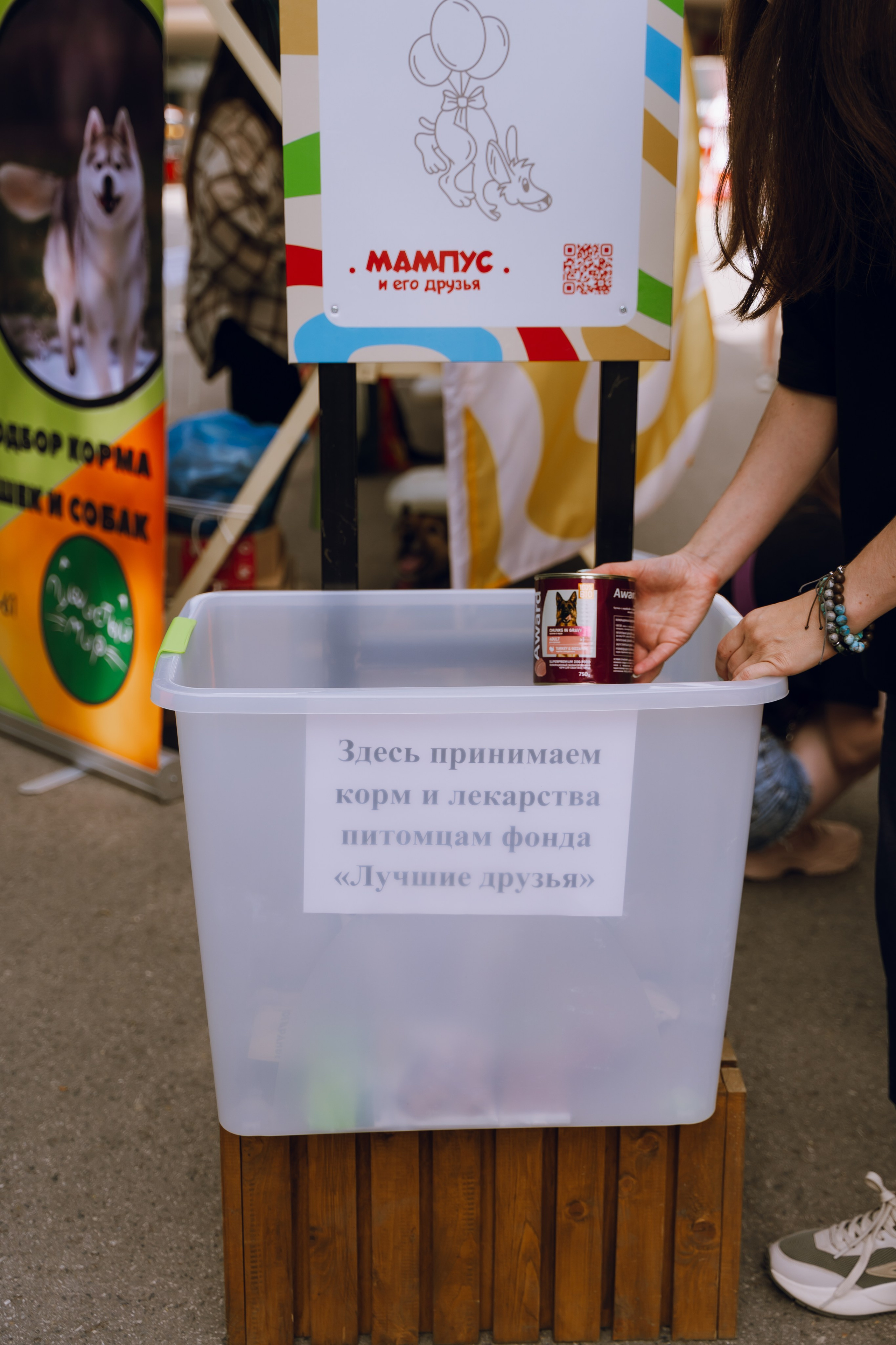 Площадка фестиваля «Мампус и его друзья» в Лесопарке 2025. Фотограф Надежда Погребняк | Рязань | Москва