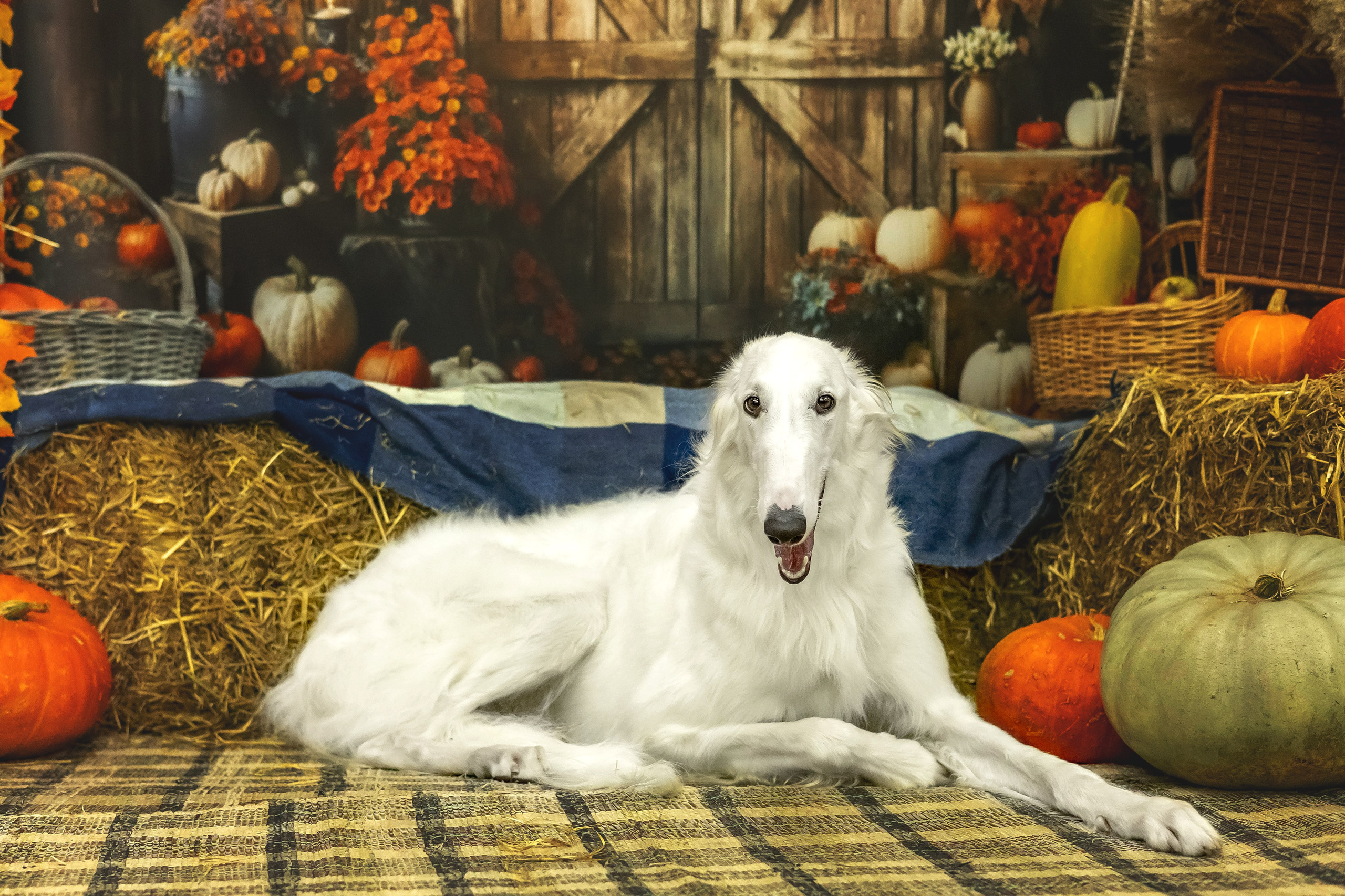 Слава и Ольга. Https://moshkovaphoto.ru/